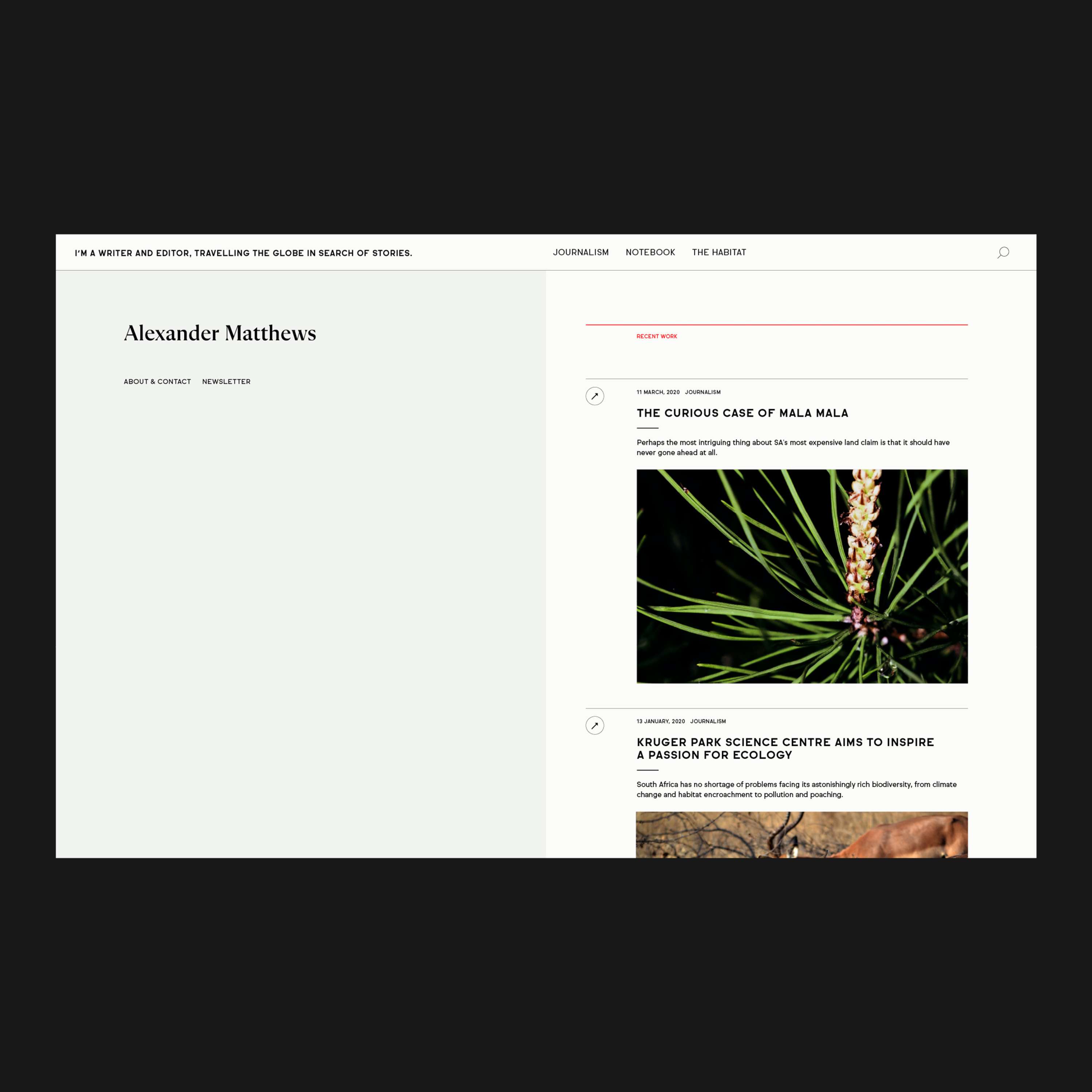 Alexander Matthews / Visual Identity by Catarina Pereira