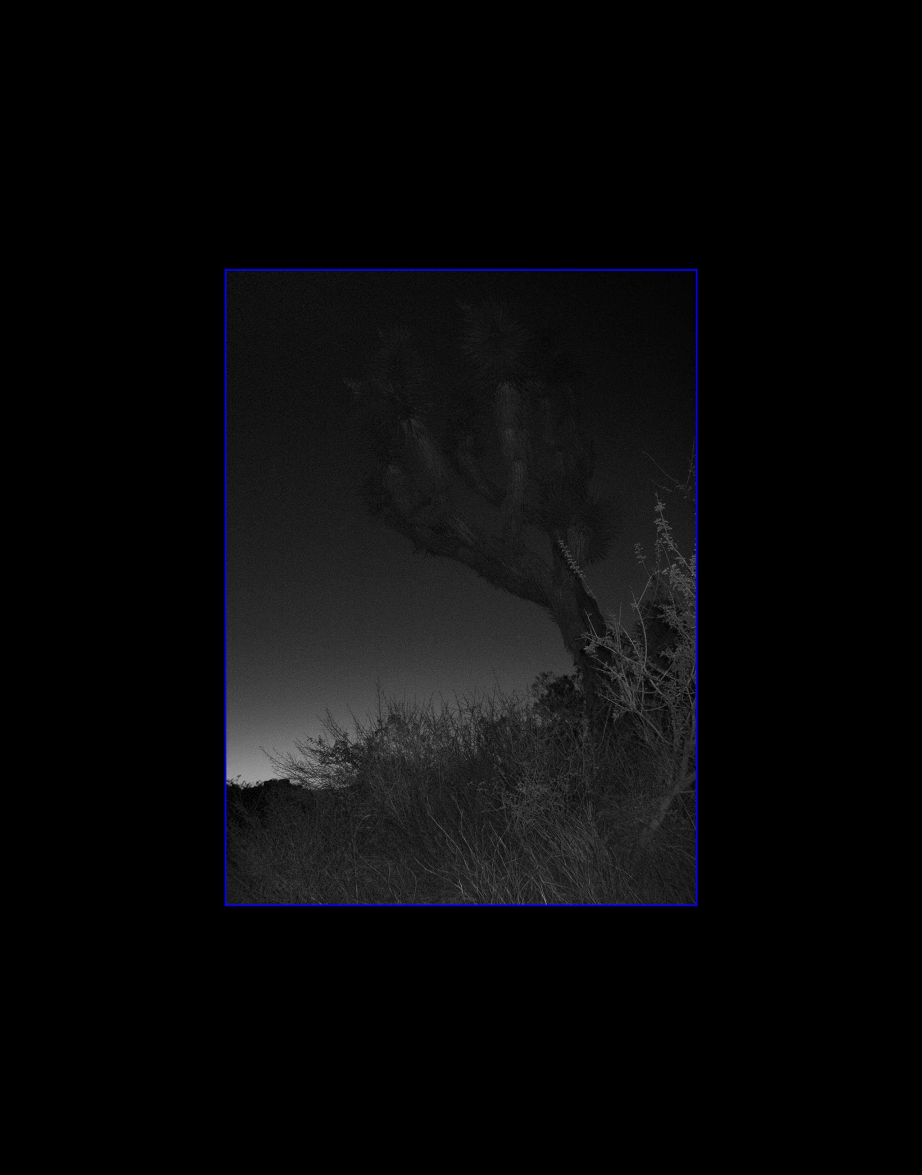 Night Light: Incomplete Distortions by Voodoo Voodoo