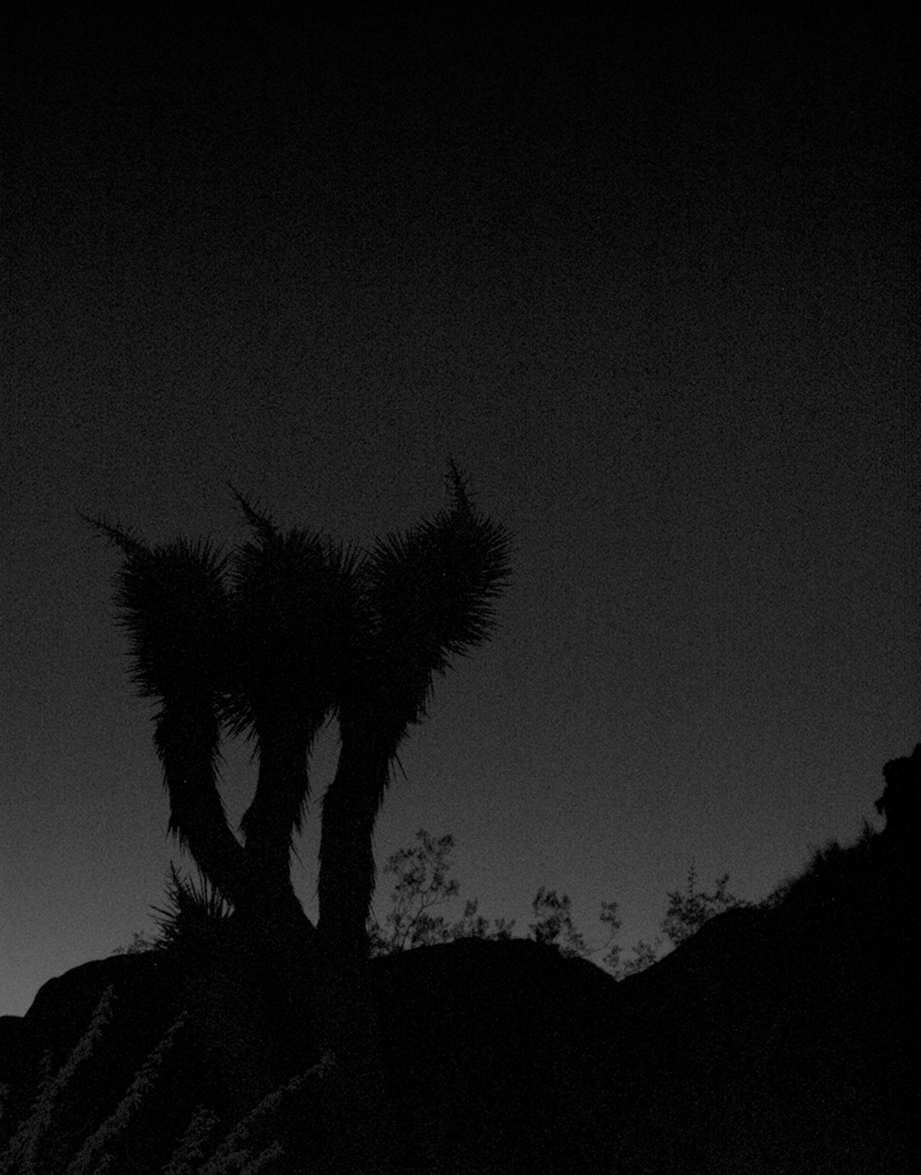 Night Light: Incomplete Distortions by Voodoo Voodoo