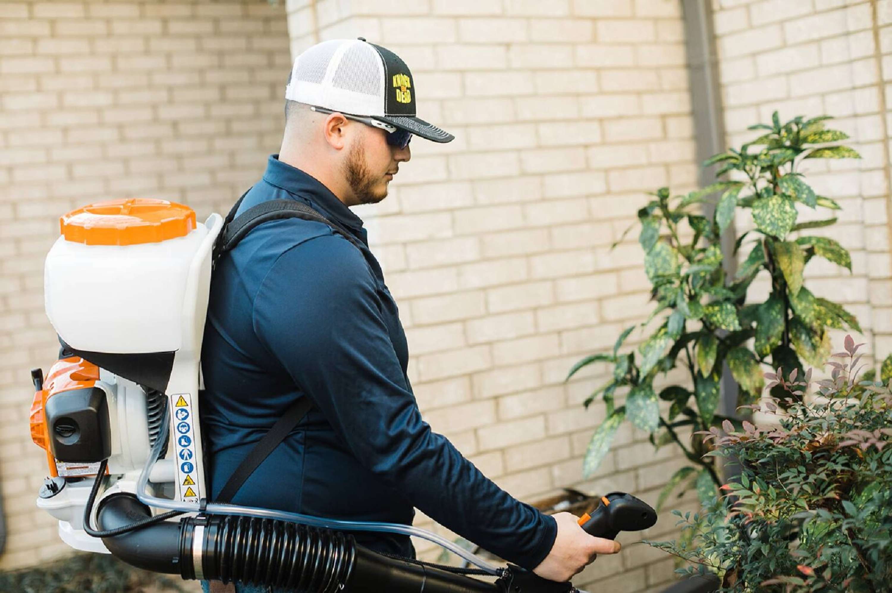Why Should You Choose Termite Exterminator In Prosper, TX? by Knock Em Dead, LLC