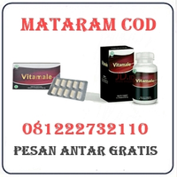 Agen Farmasi Jual Obat Vitamale Di Mataram 082121380048 logo