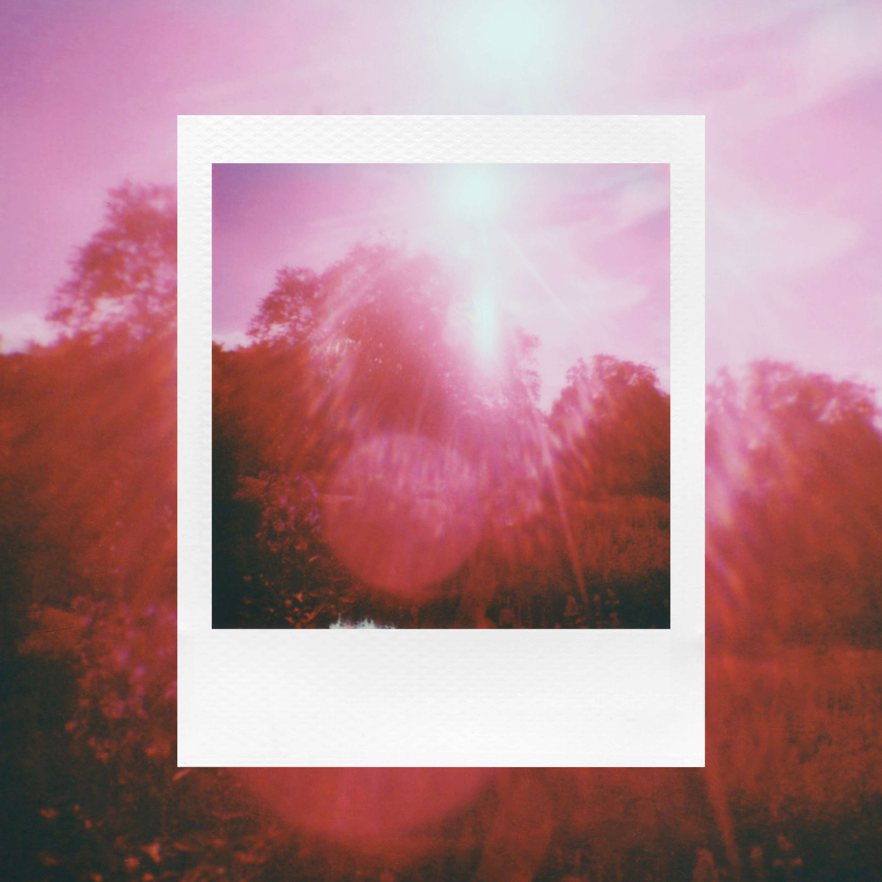 Polaroid Go by Maria Louceiro