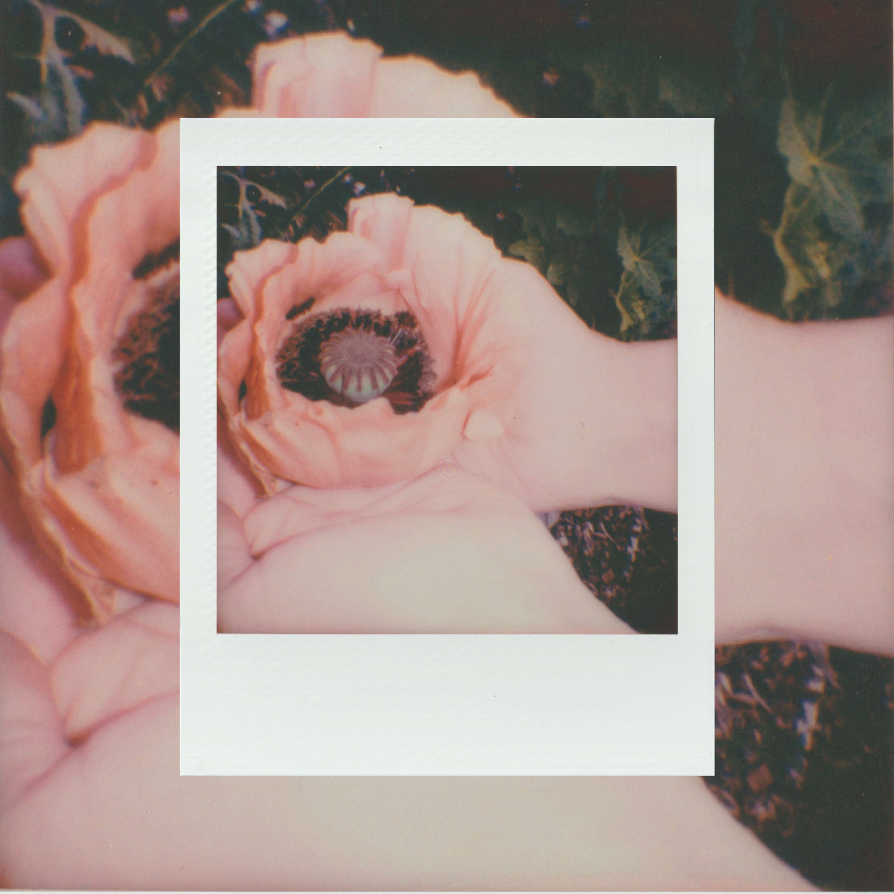 Polaroid Go by Maria Louceiro