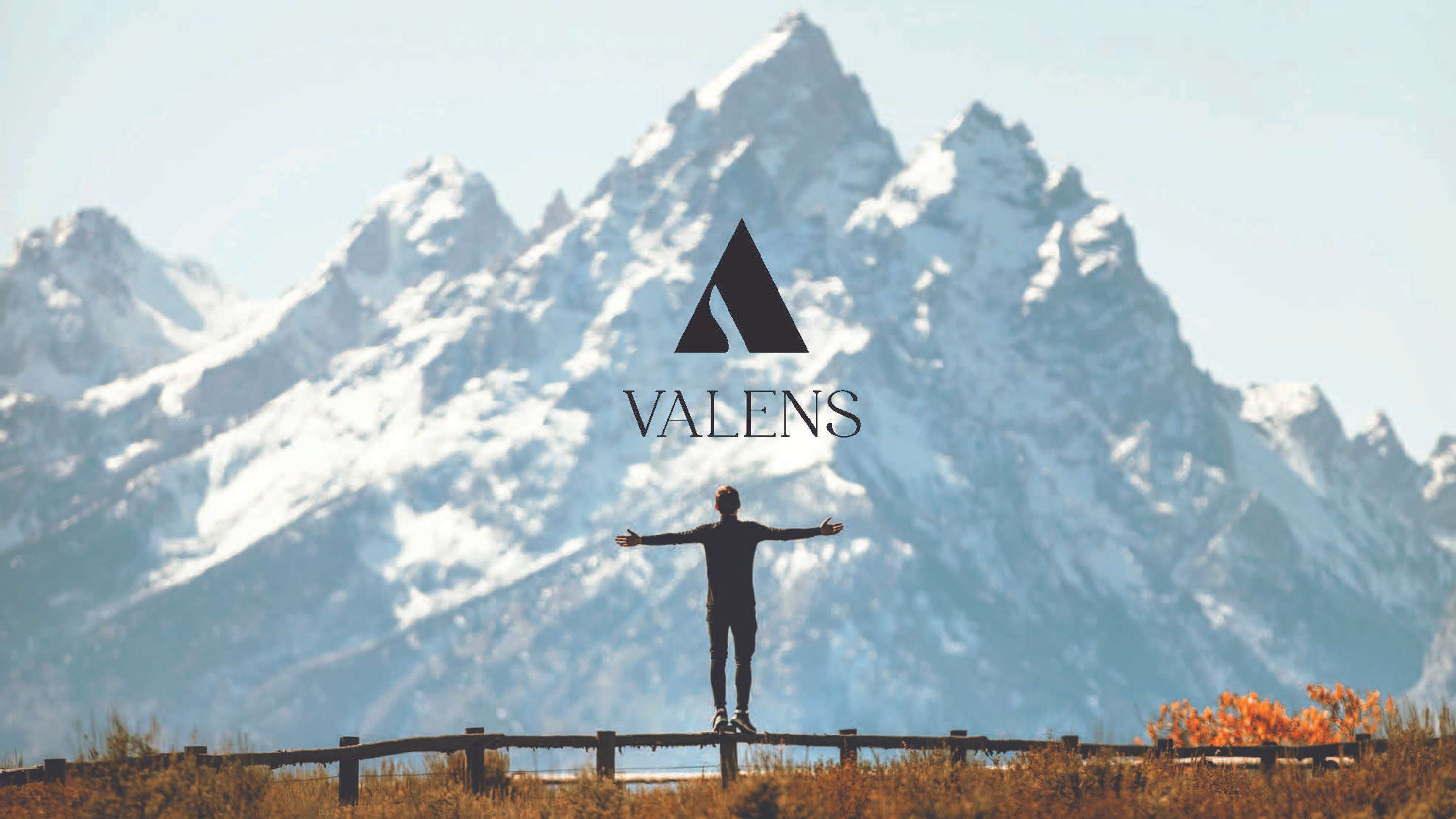 VALENS by Elif Cepniler