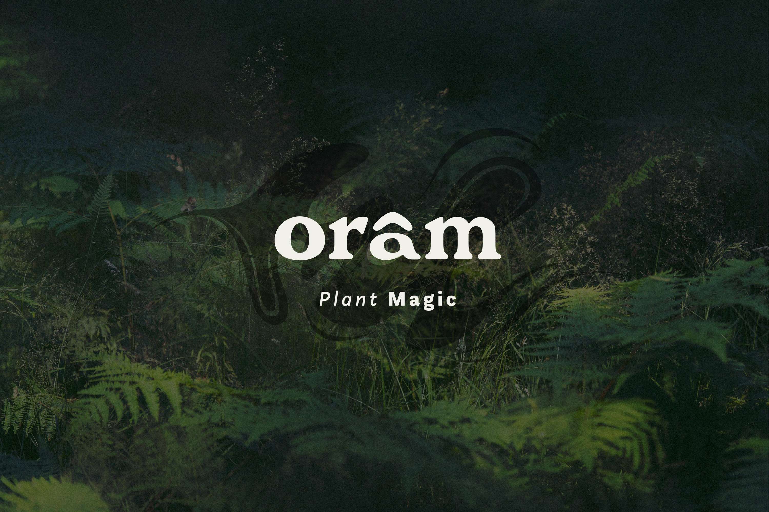 Orâm by Katie Scanlon