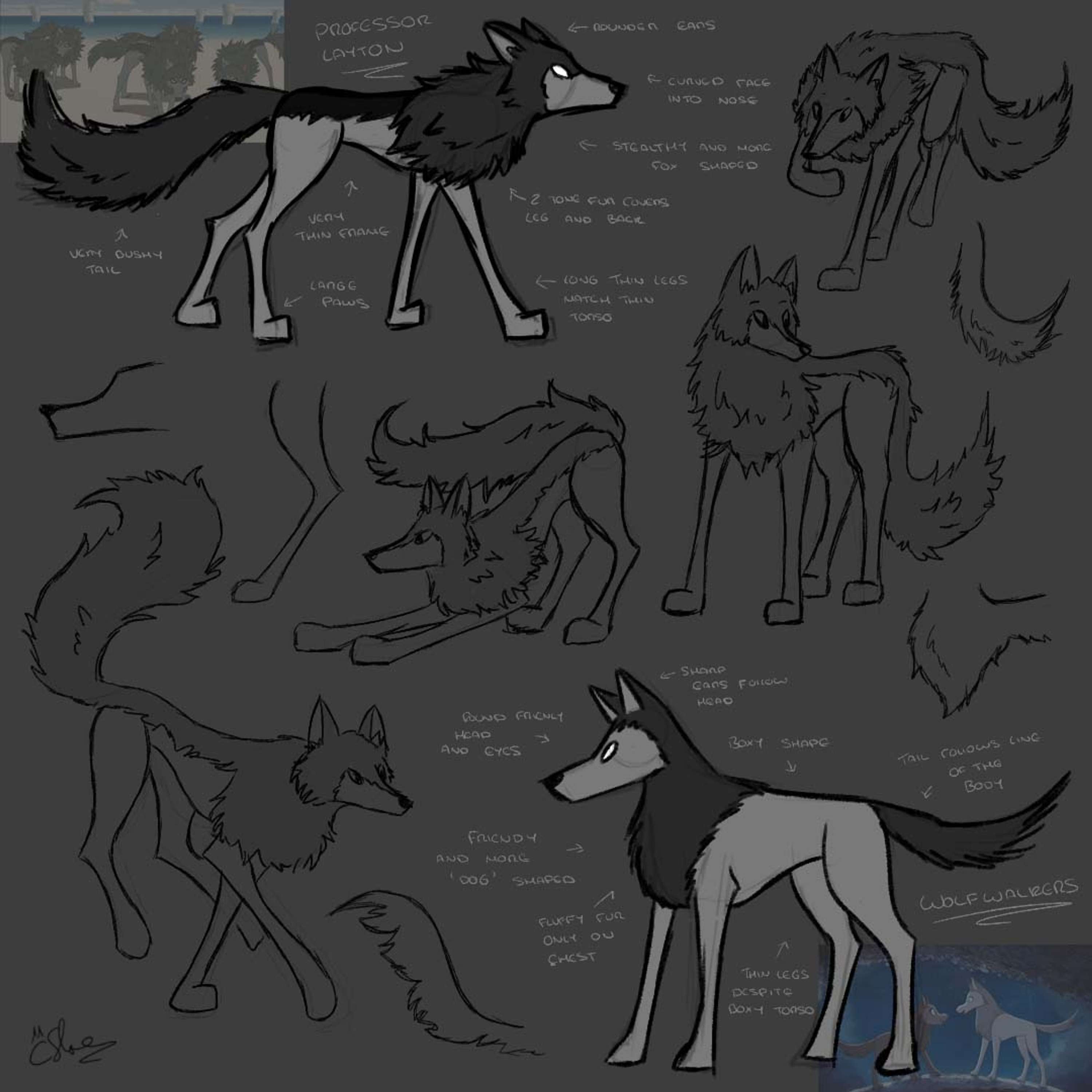 Wolf Character Studies and Design by Catherine Slope