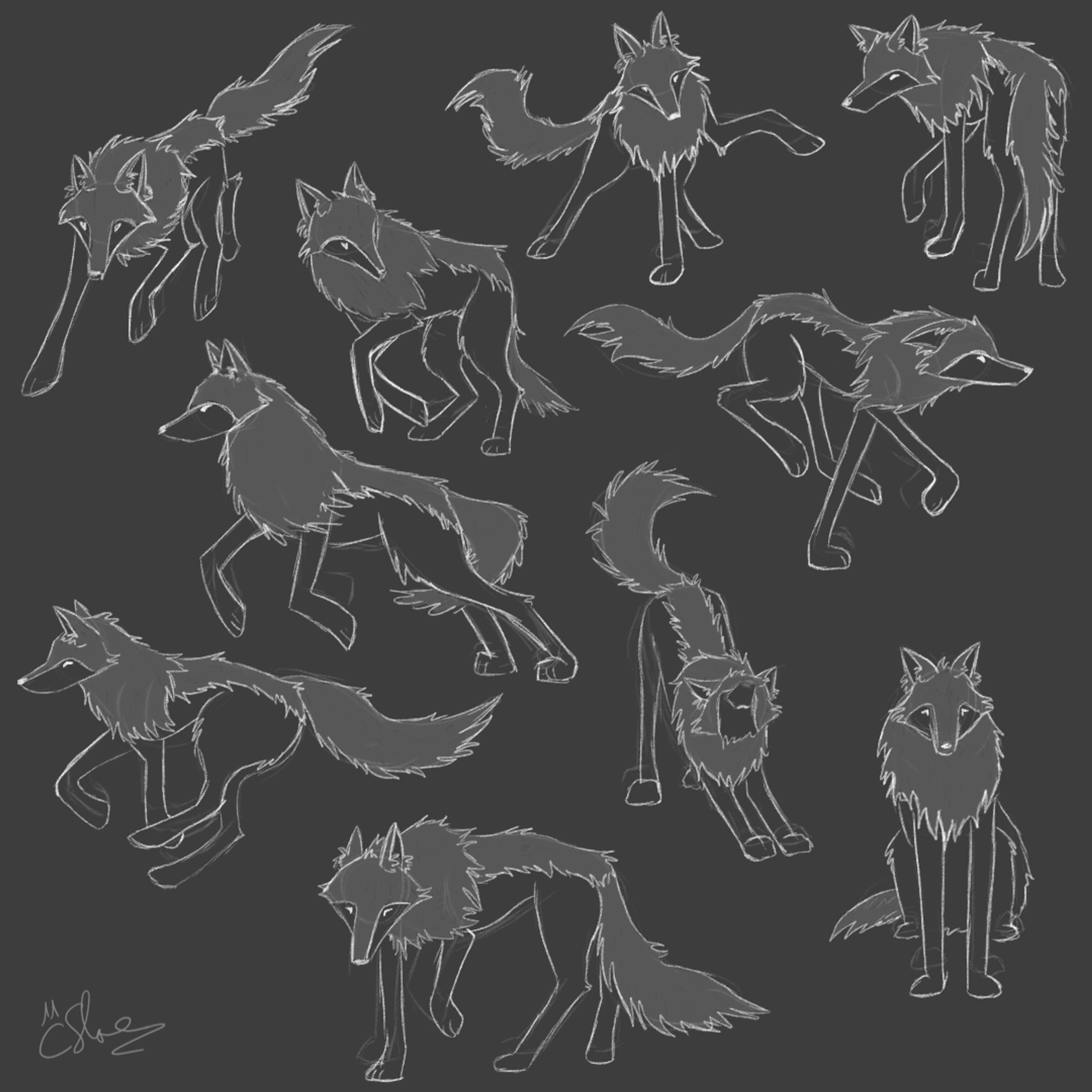 Wolf Character Studies and Design by Catherine Slope