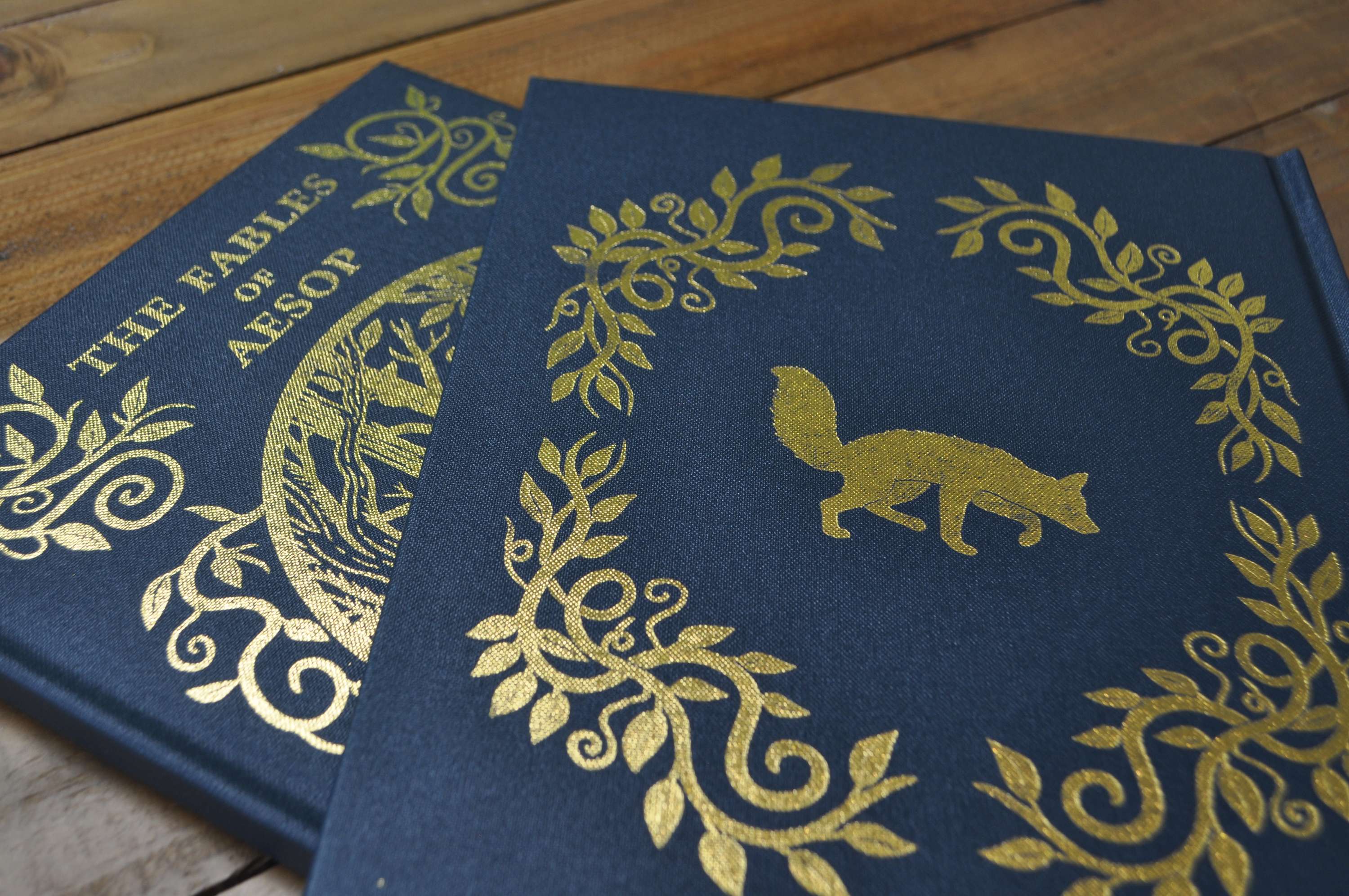 The Fables of Aesop by Megan Carr