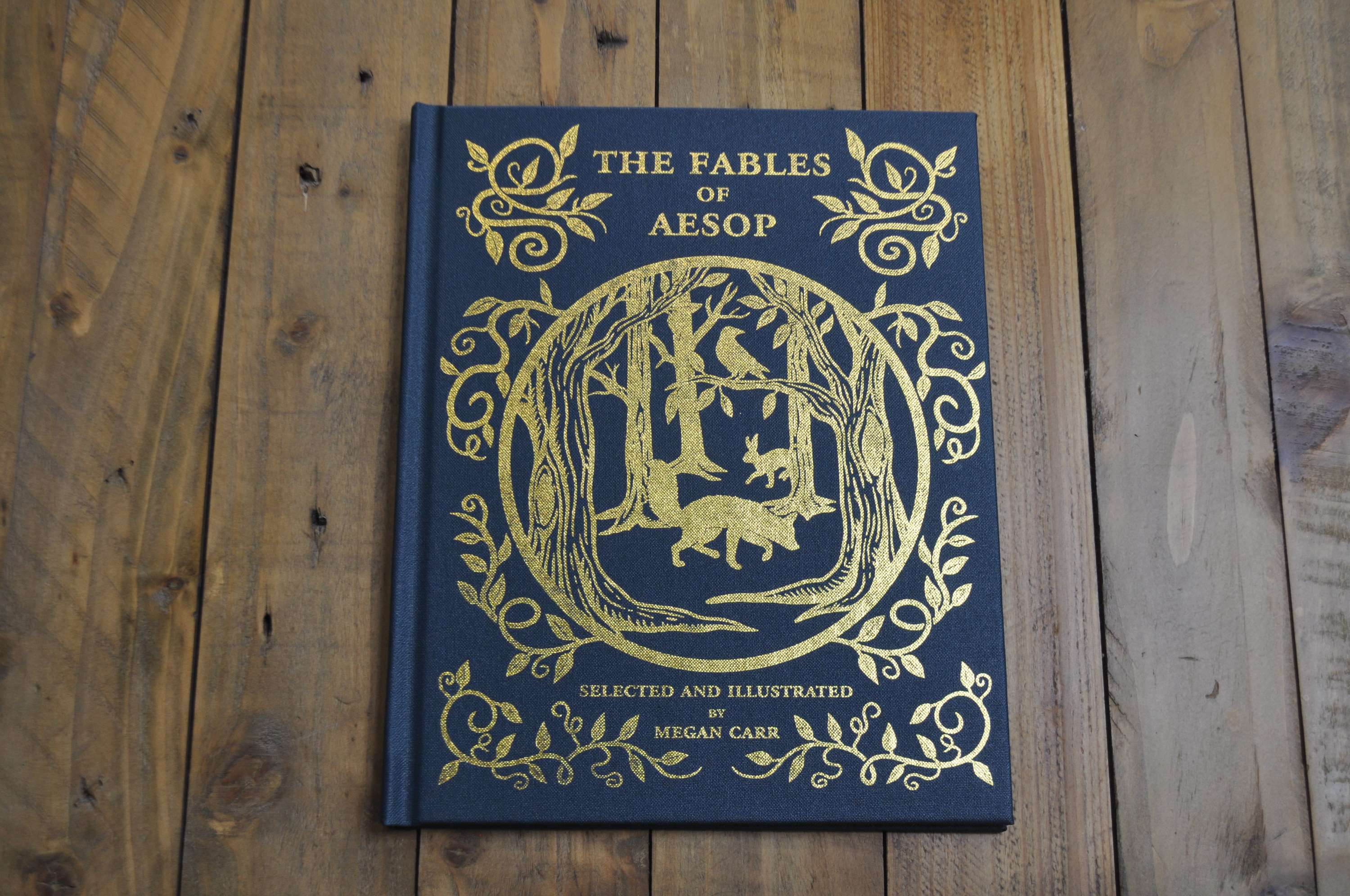 The Fables of Aesop by Megan Carr