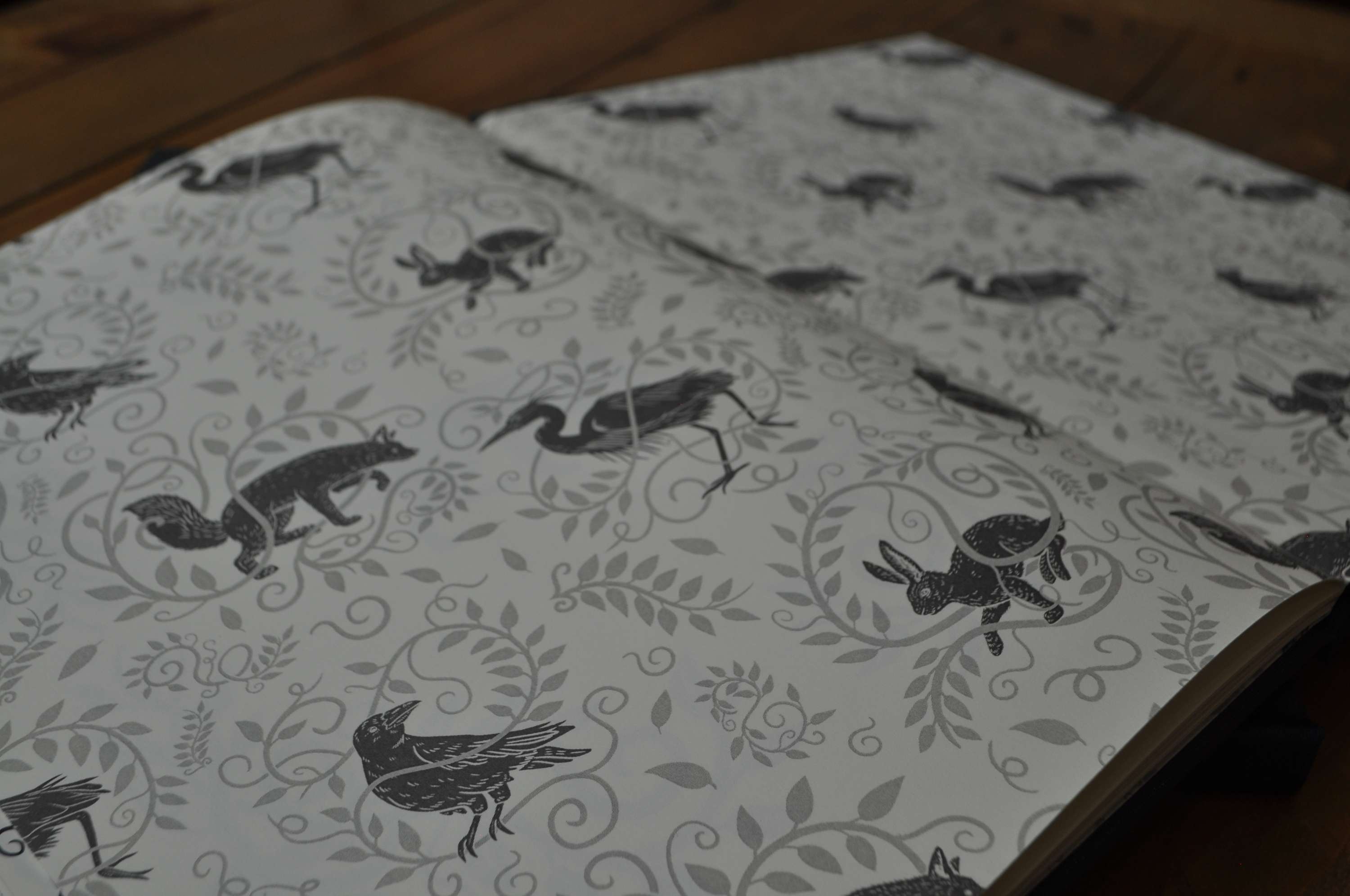 The Fables of Aesop by Megan Carr