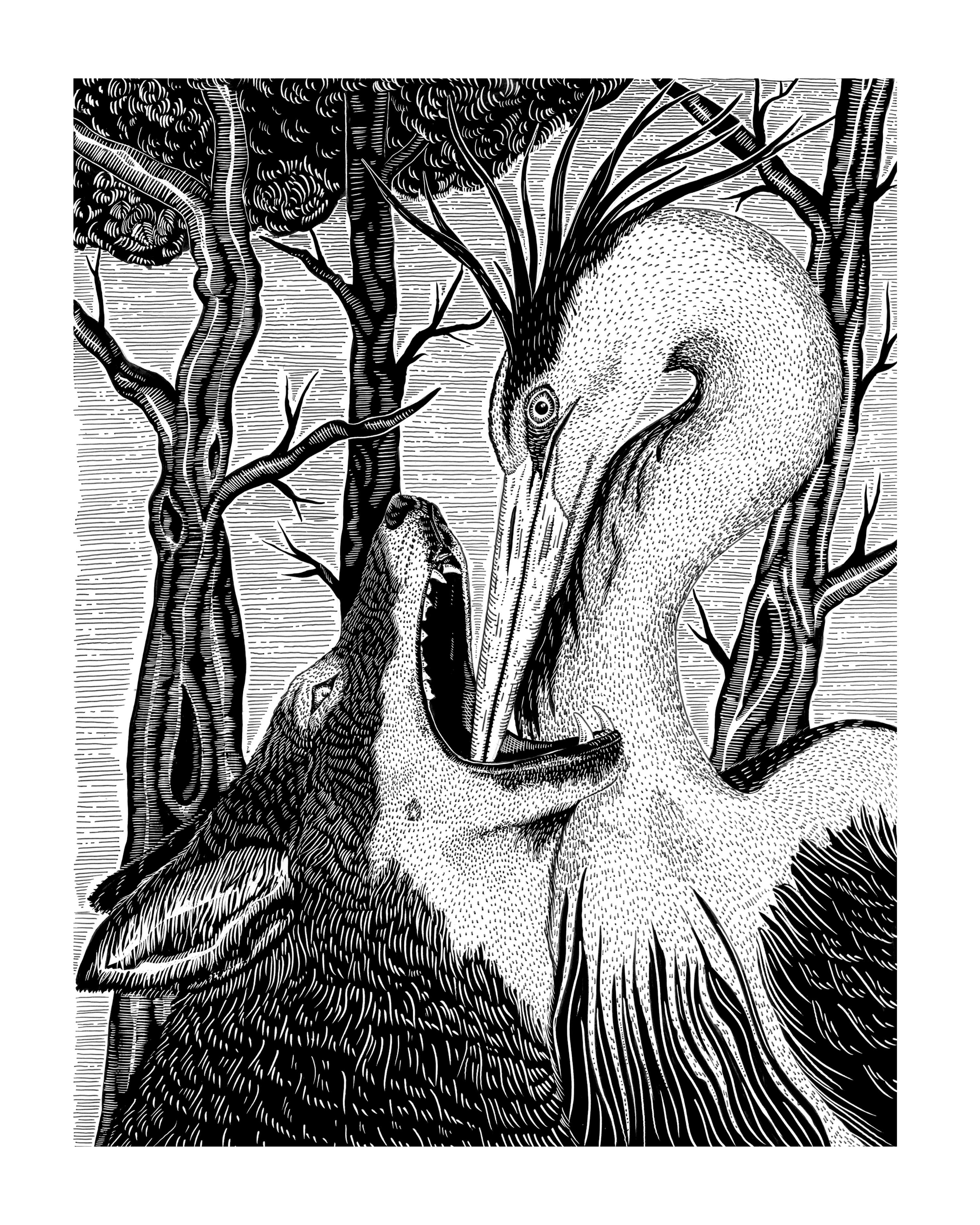 The Fables of Aesop by Megan Carr
