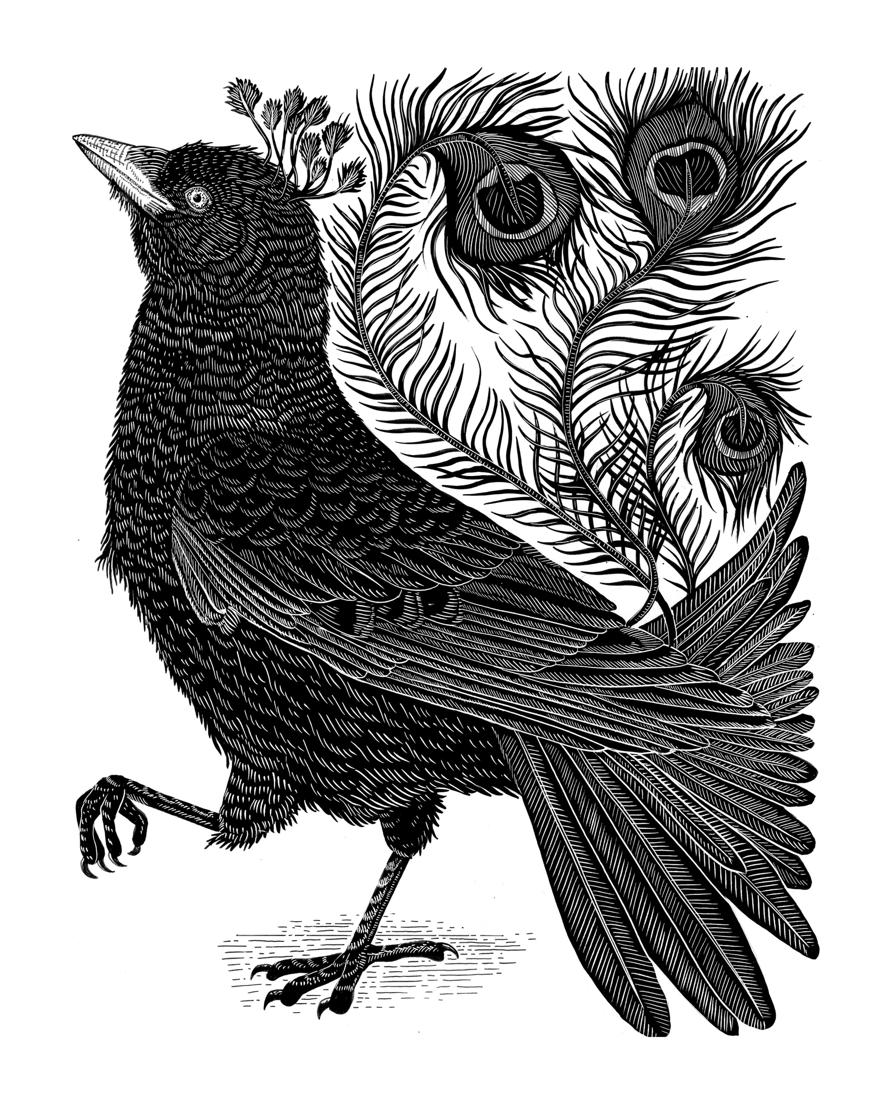 The Fables of Aesop by Megan Carr