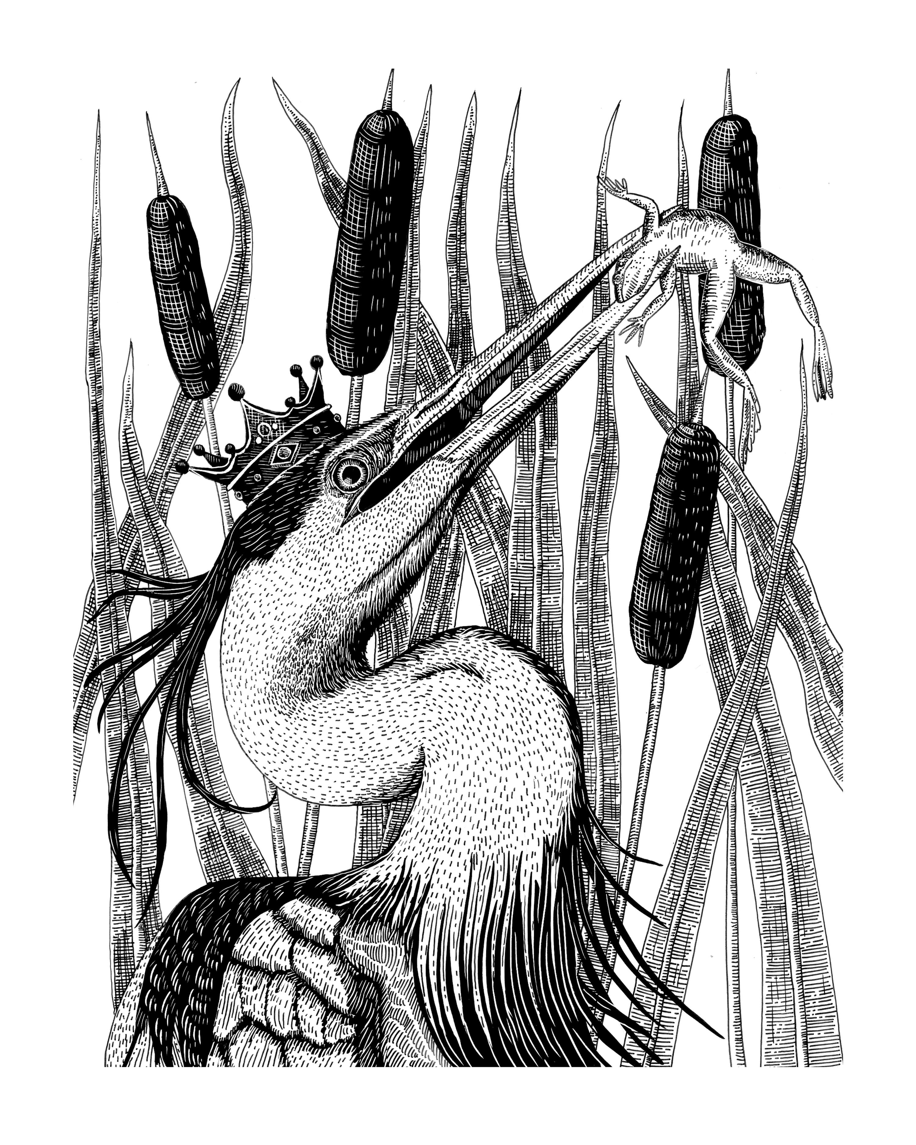 The Fables of Aesop by Megan Carr