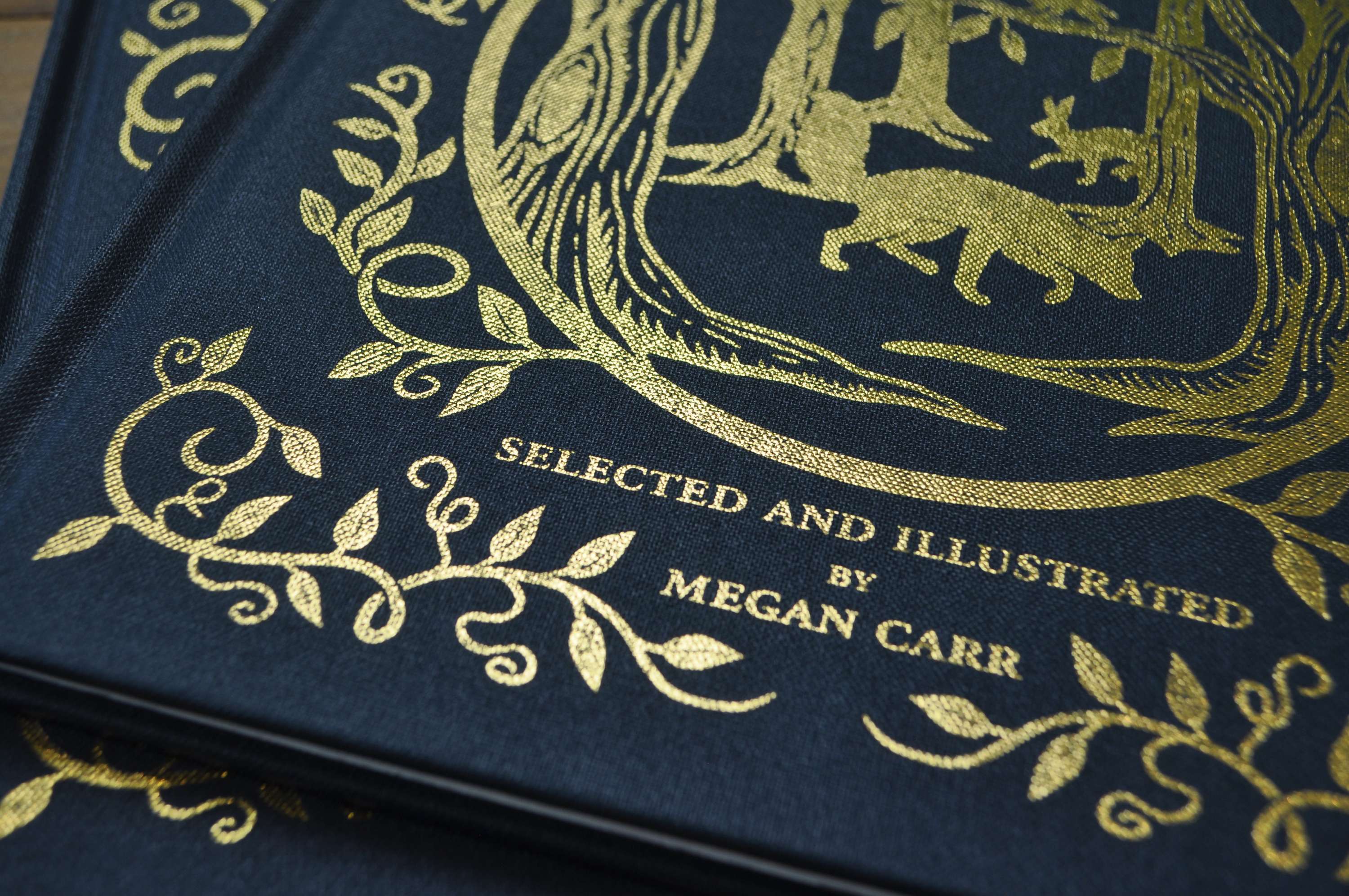 The Fables of Aesop by Megan Carr