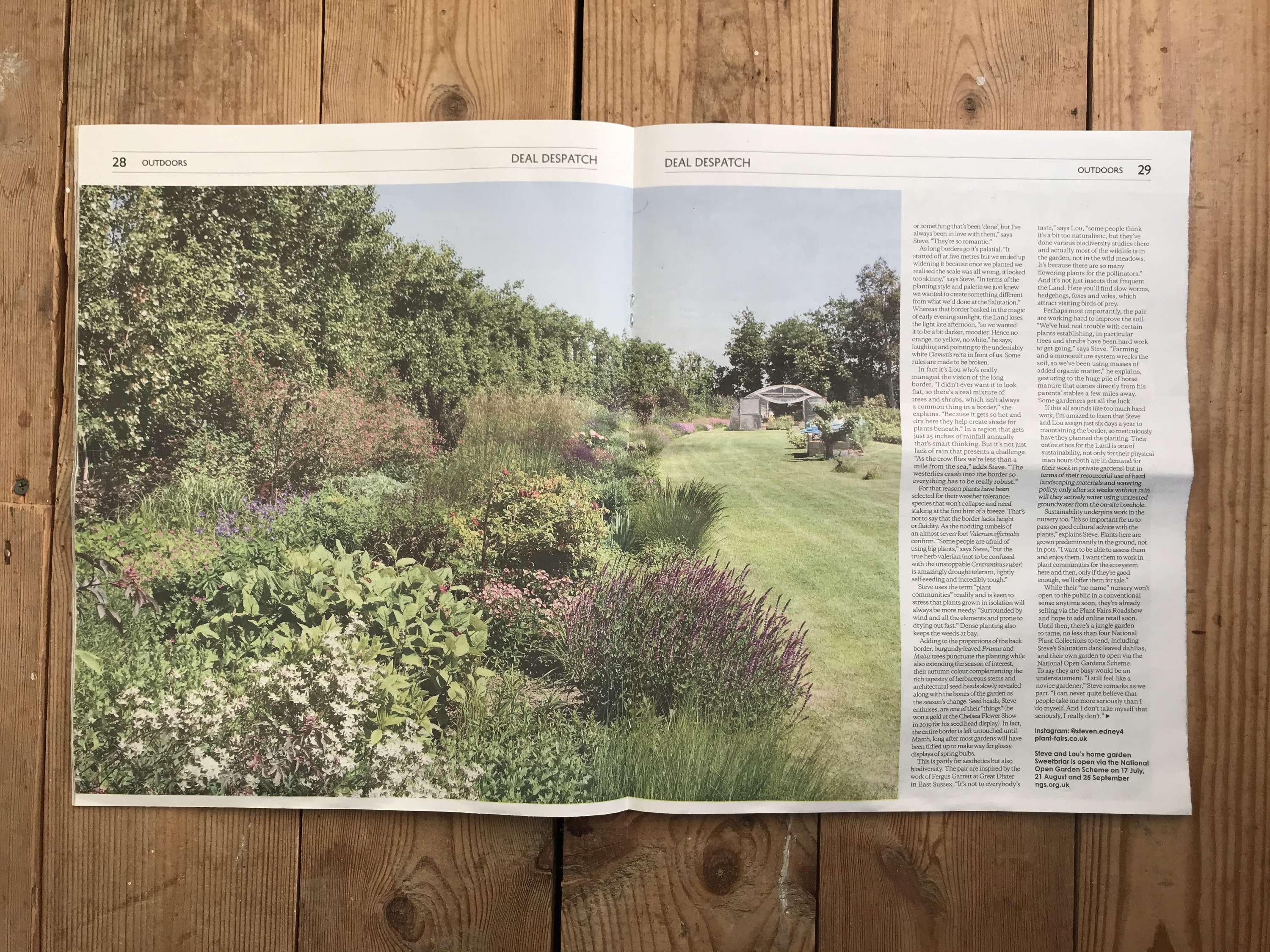 DPS interview editorial | The Deal Despatch | Summer 2022 by Bella Binns