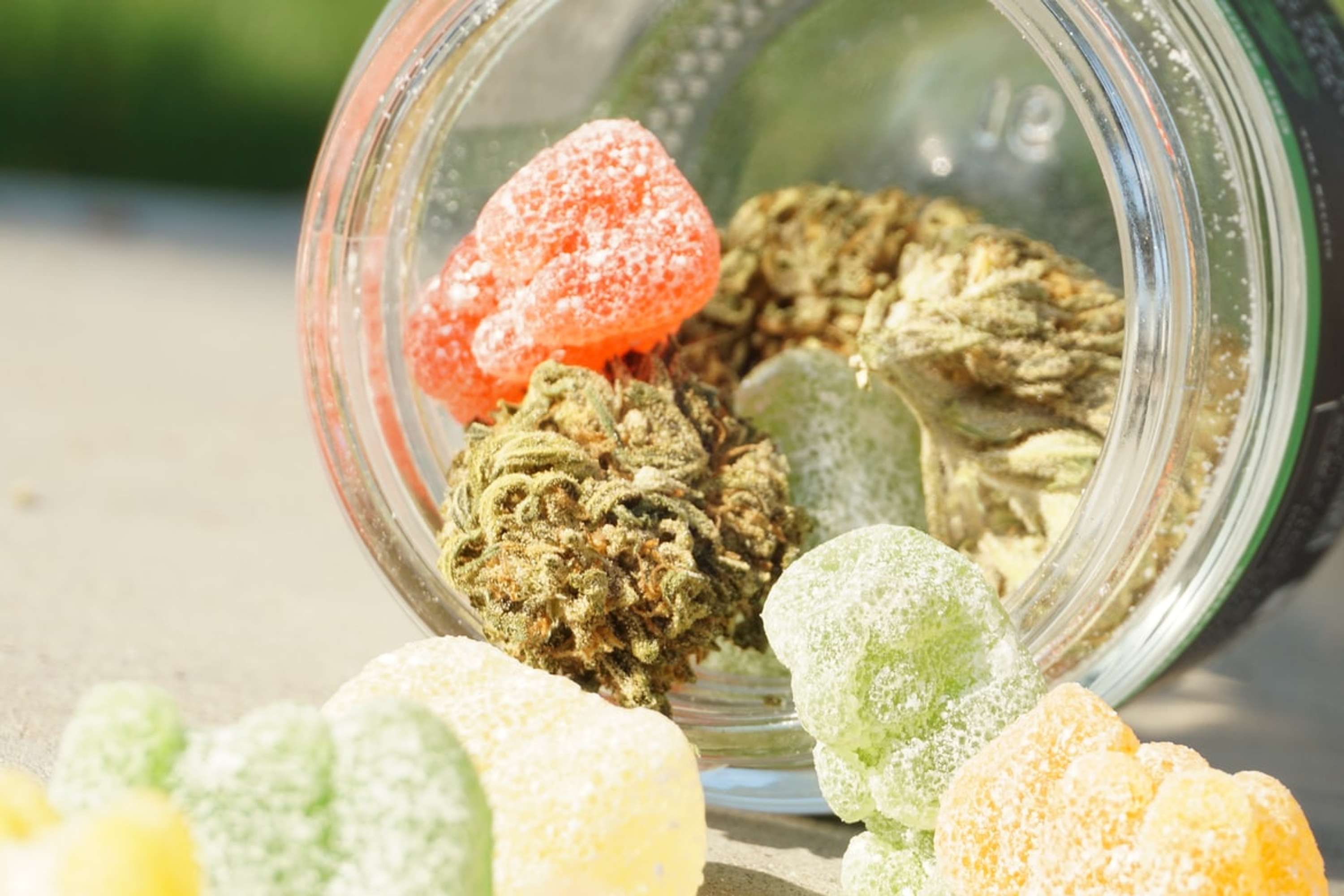 Blitz D8 CBD Gummies (Scam or Legit) Read Expert Reviews! by george wilson