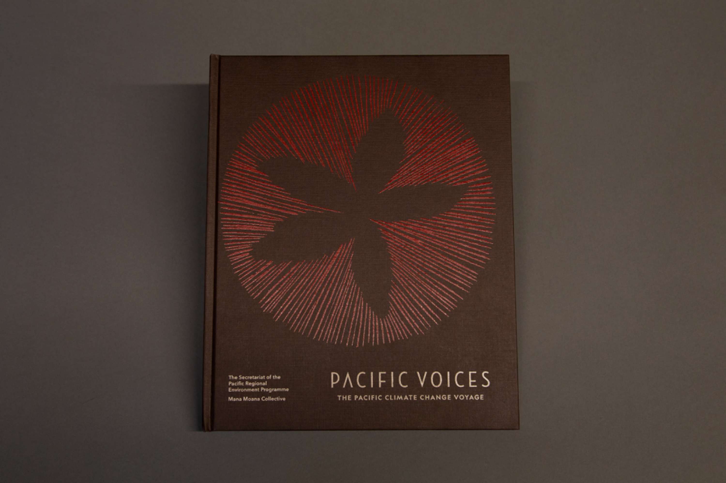 Pacific Voices by Baly Gaudin