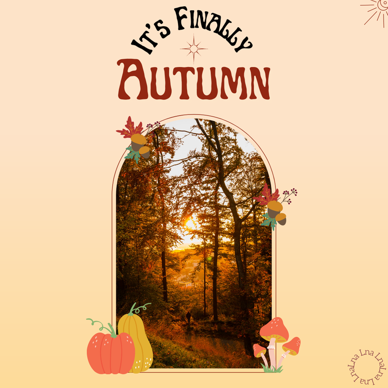 Autumn Season by LNA M