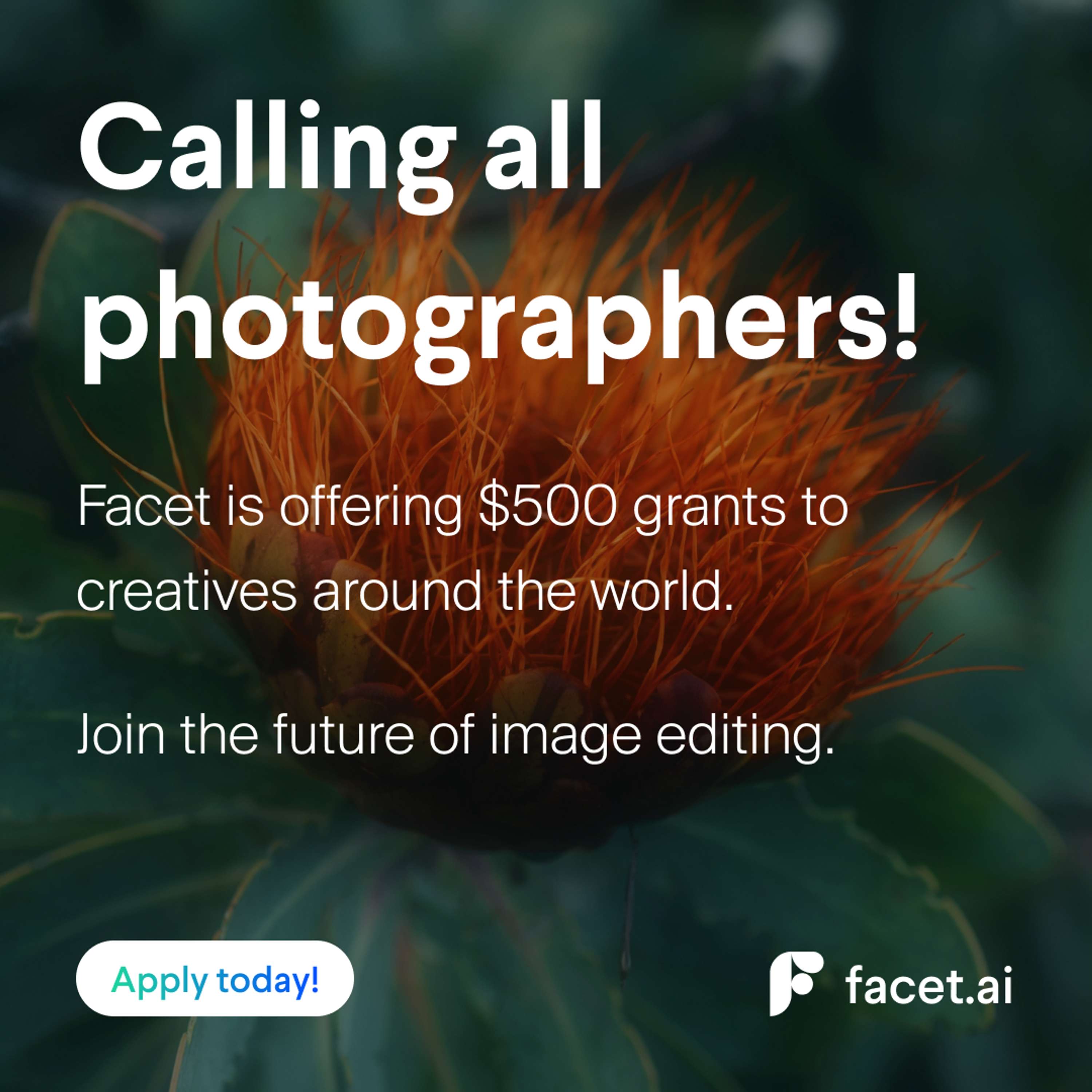 Apply for a (Remote) Creator Grant from facet.ai by Facet https://facet.ai