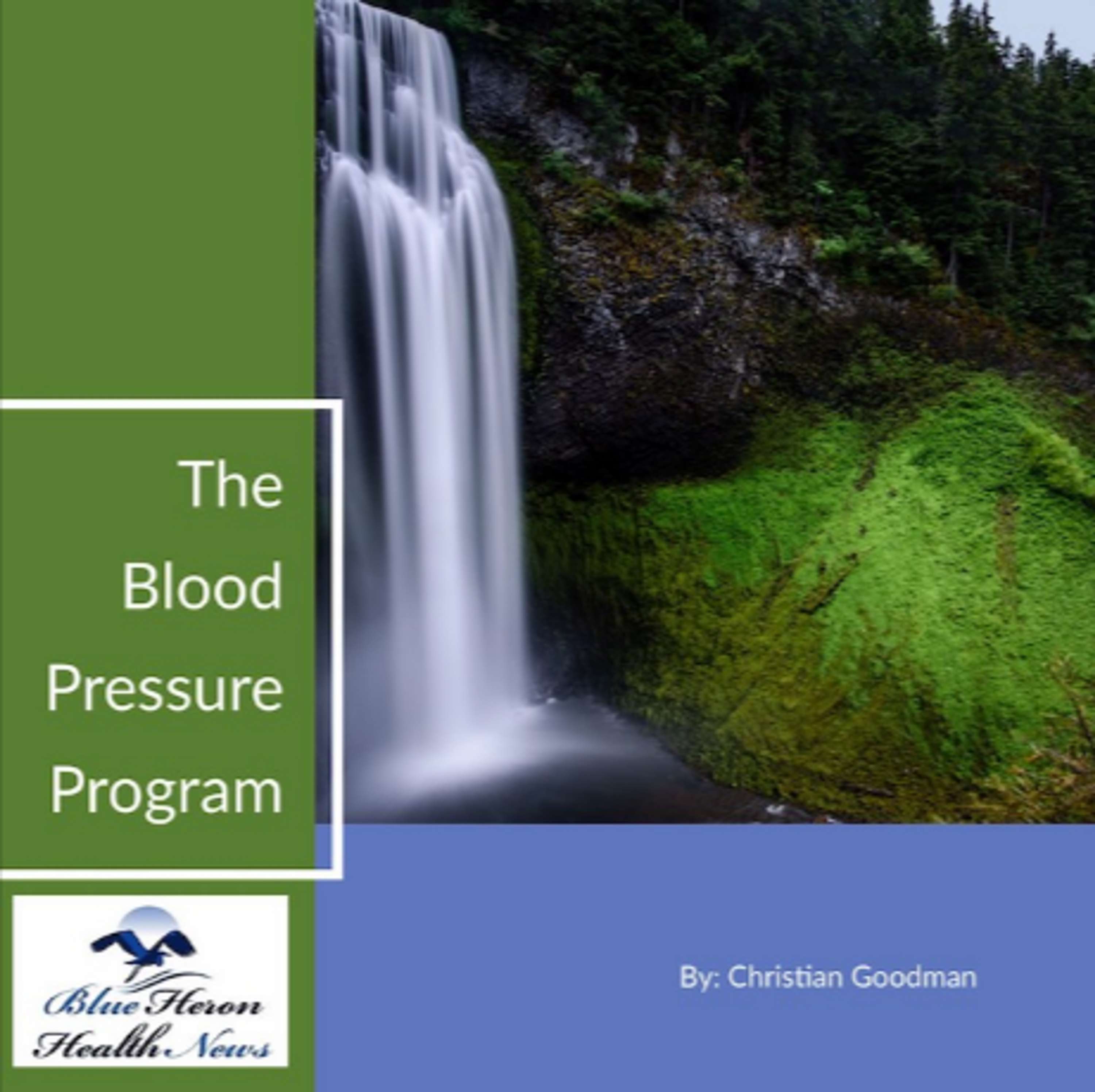 The Blood Pressure Program Reviews – Scam Or Legit? by shaku shaku
