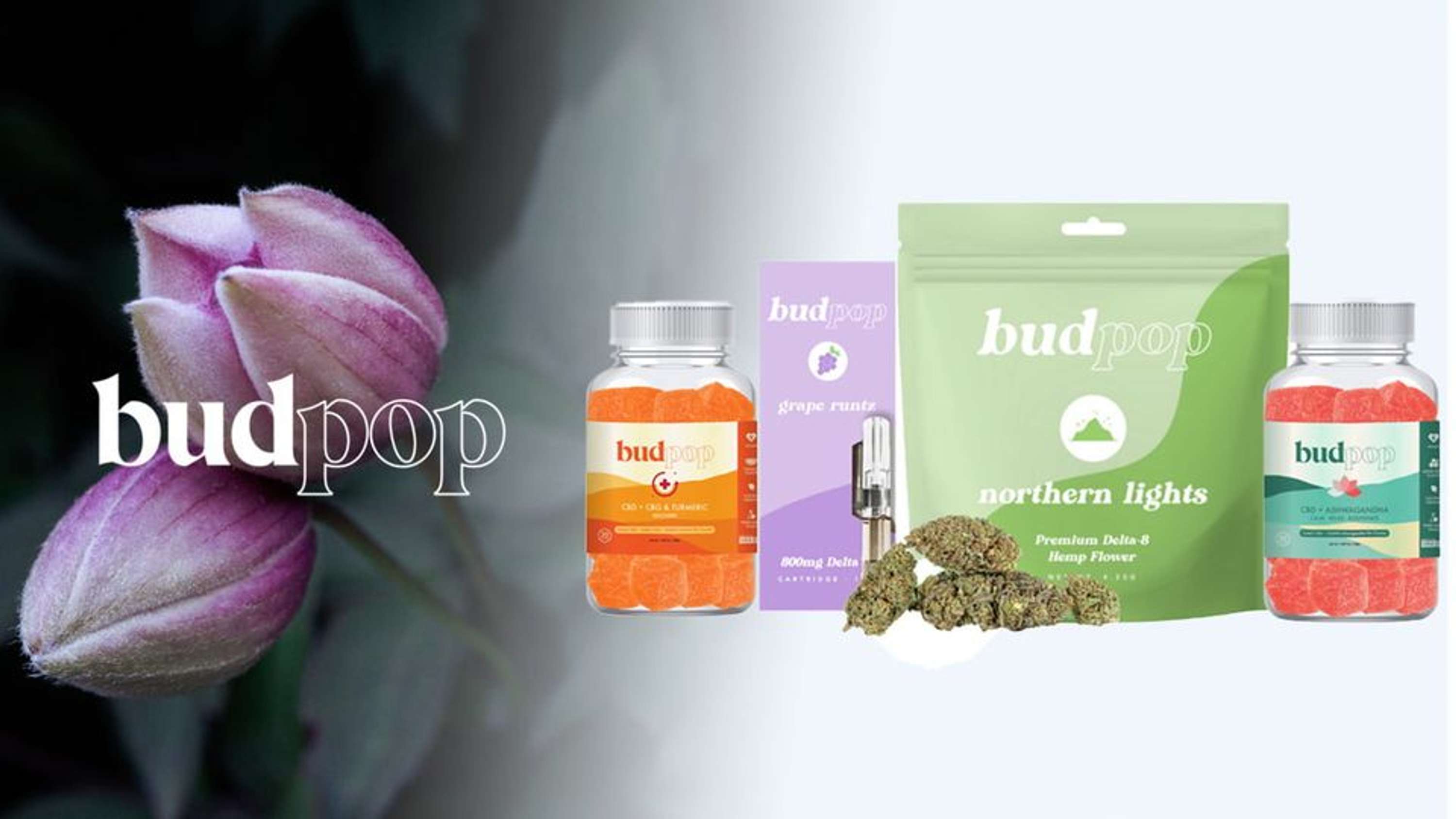 BudPop CBD Gummies (Scam or Legit) Read Expert Reviews! by samar kumar