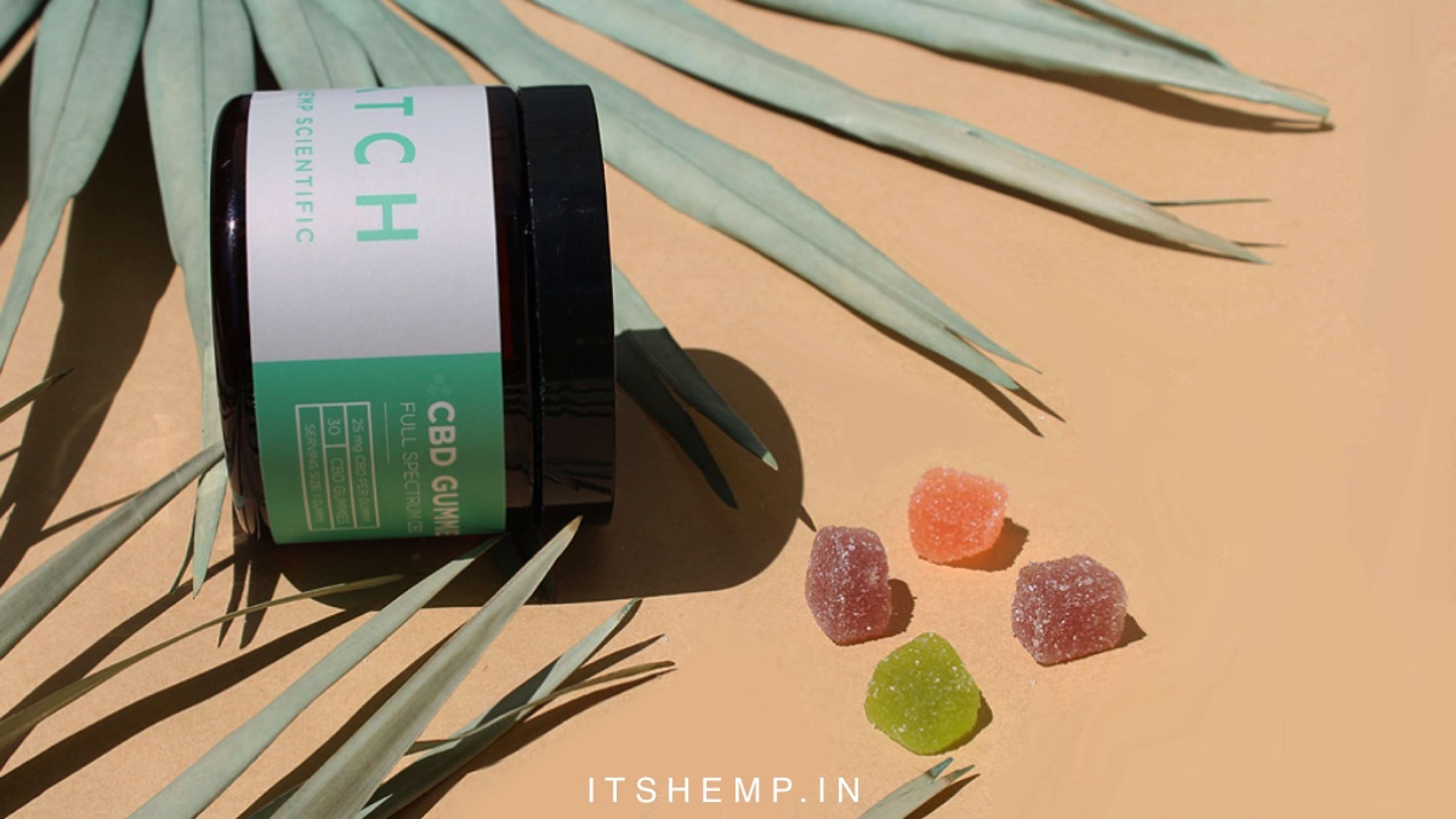 Recover FX CBD Gummies [Opinions and Results] Buyer Beware! by samar kumar