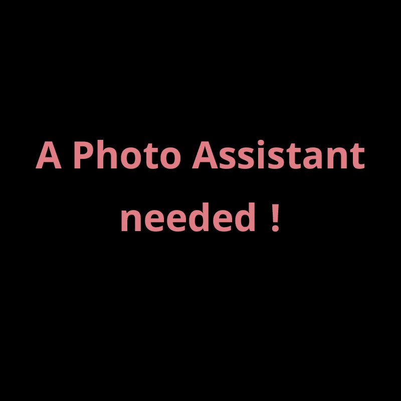 Looking for a photo assistant on Oct 3rd. by Chuck Bae