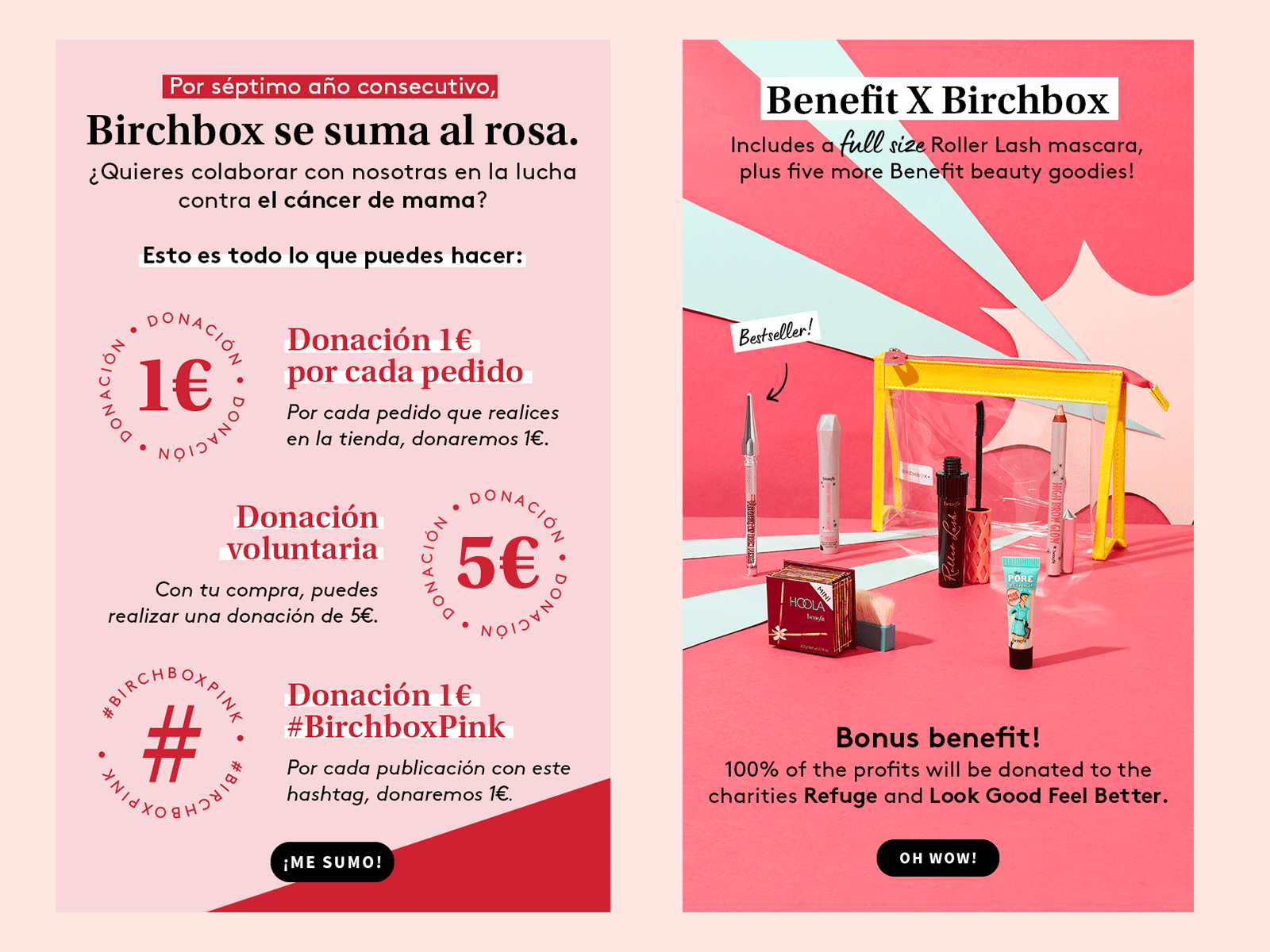 Birchbox - Newsletter Design by Santa Vinklere