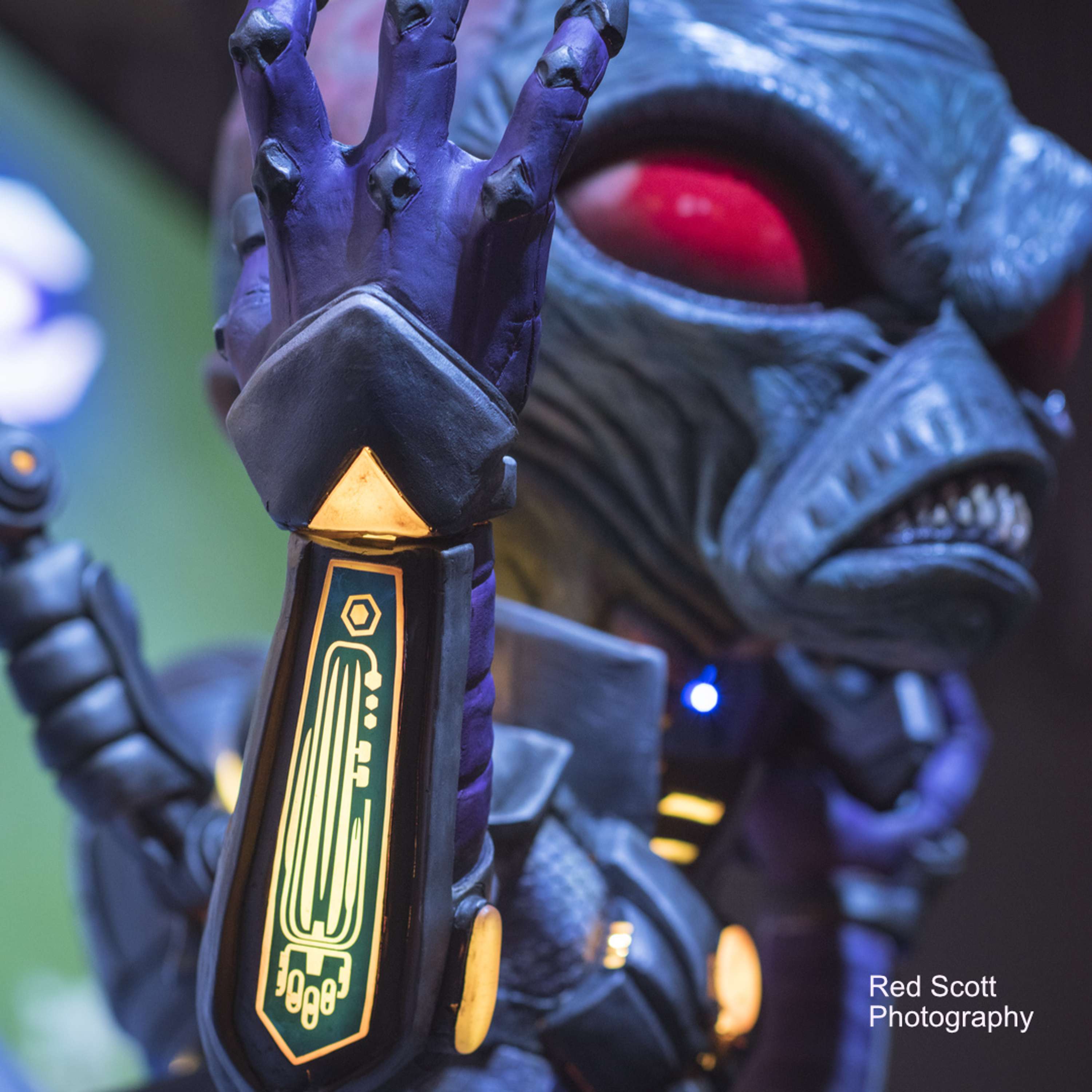 EVOLVE: CRYPTO BUILD by Plunge Creations Limited