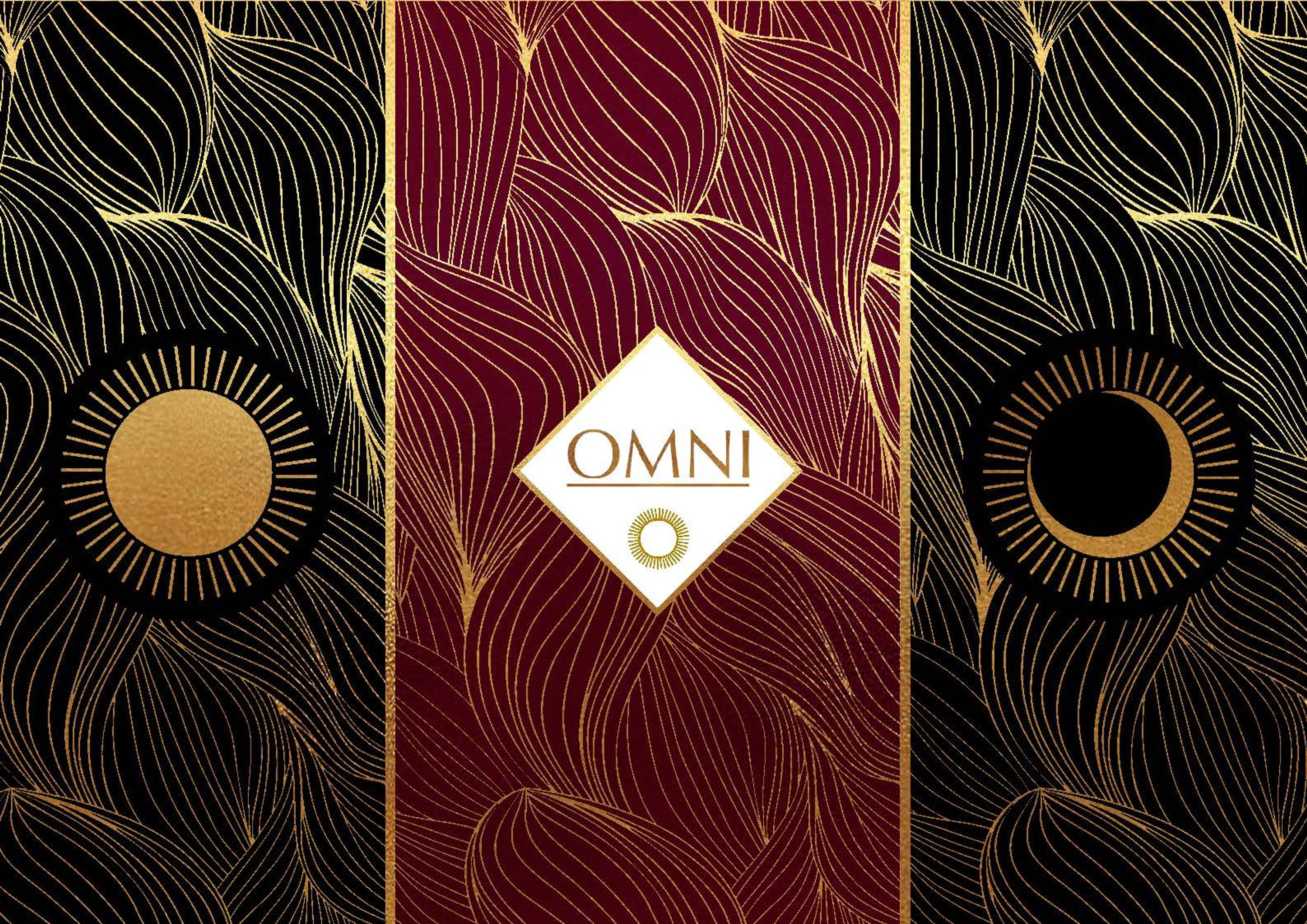 OMNI by JATINDER SINGH LALLI