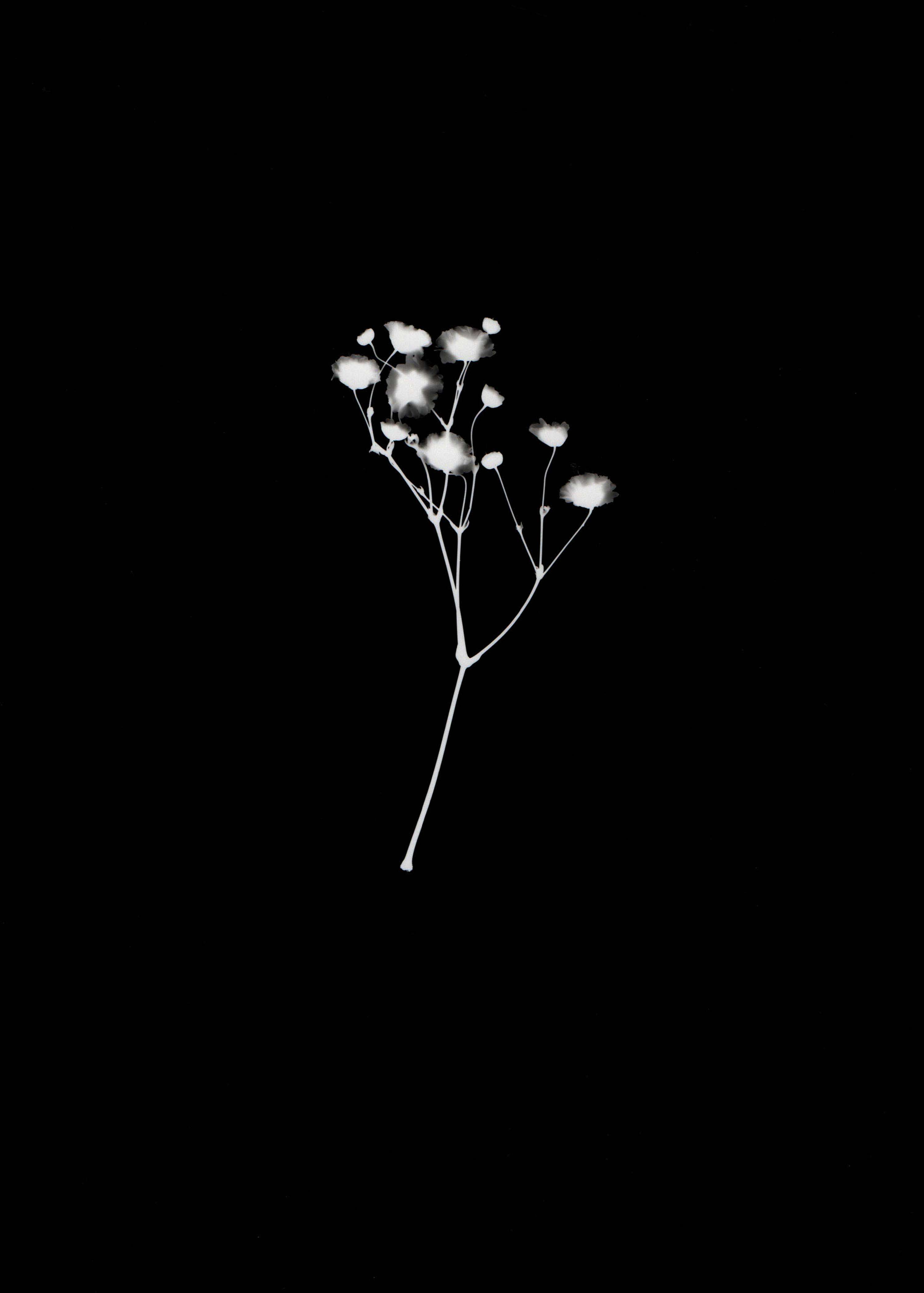 The Sublime by Halena Hucker