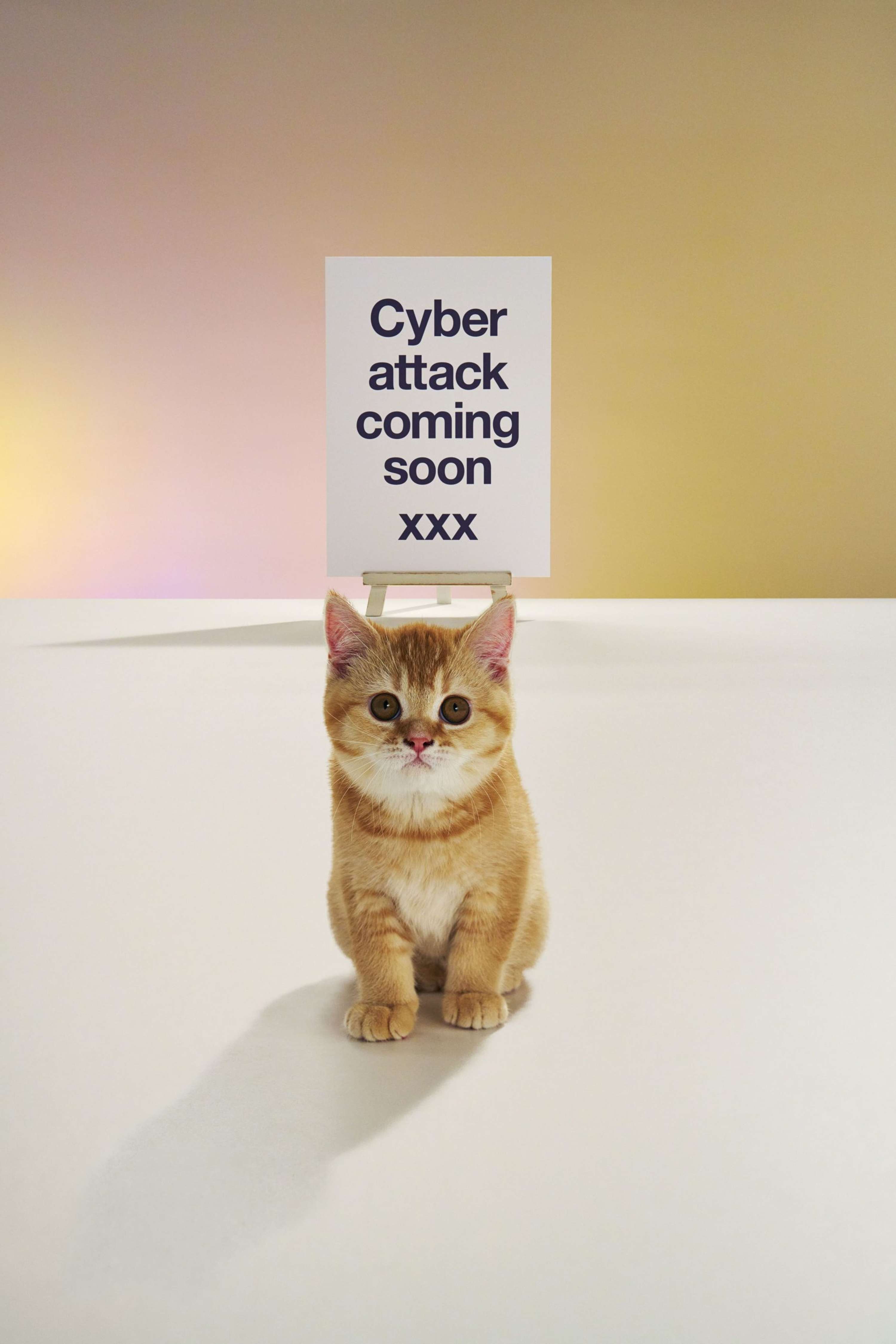 BT  Cyber Attack by Hat Margolies