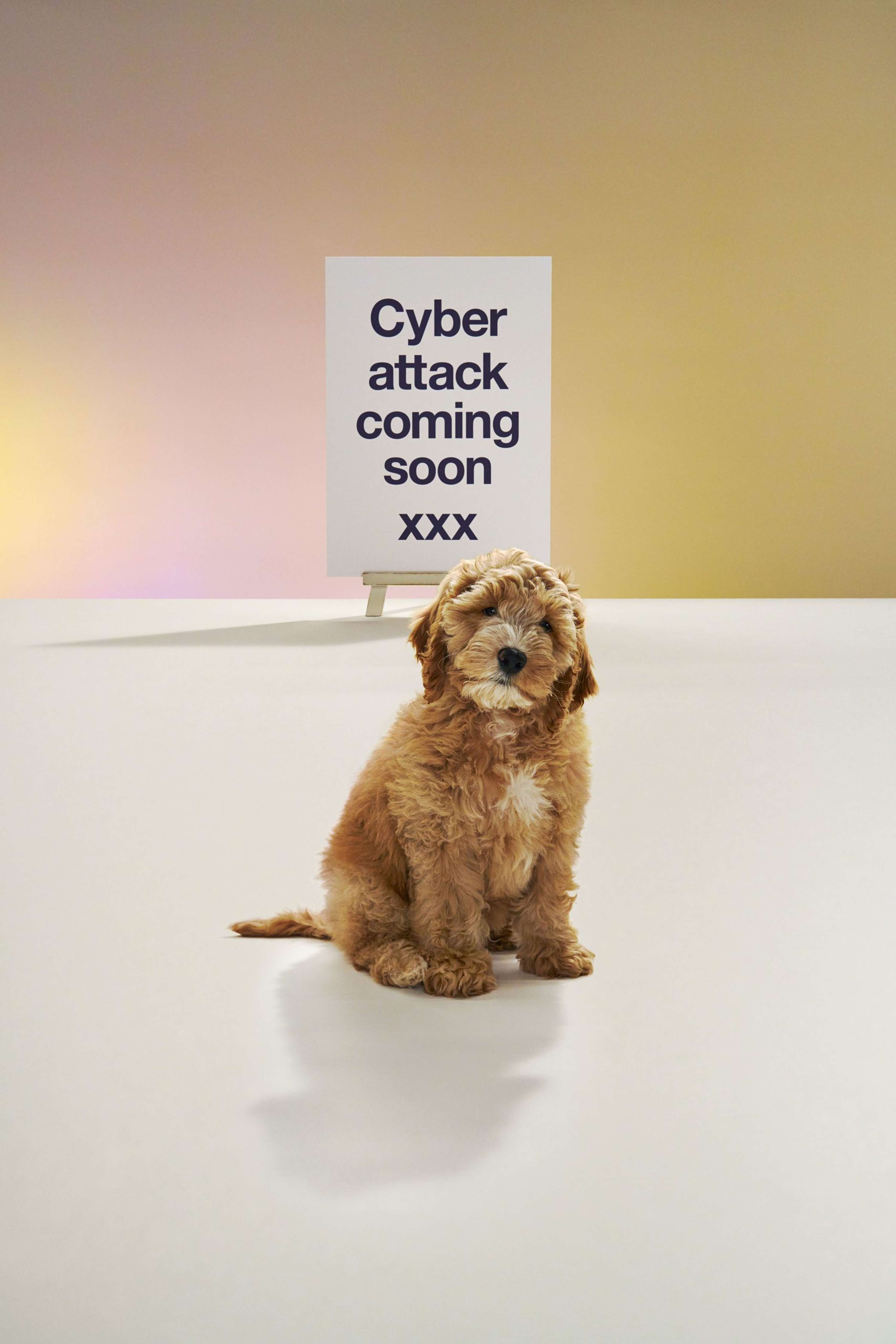 BT  Cyber Attack by Hat Margolies
