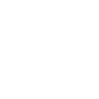 Austin SEO - Black Swan Media logo