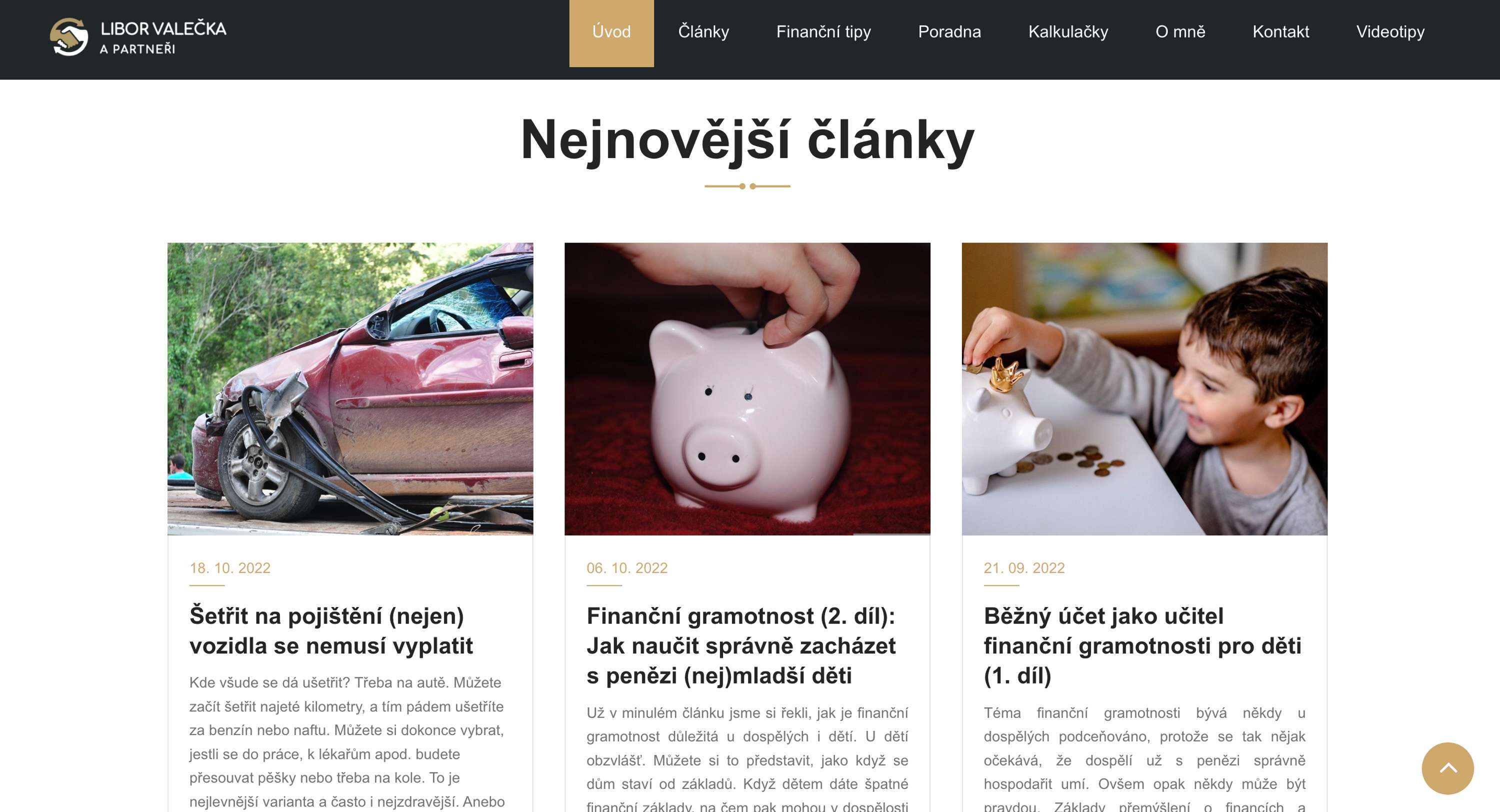 Logo and Web Design - Libor Valečka a partneři by Jana Kasova