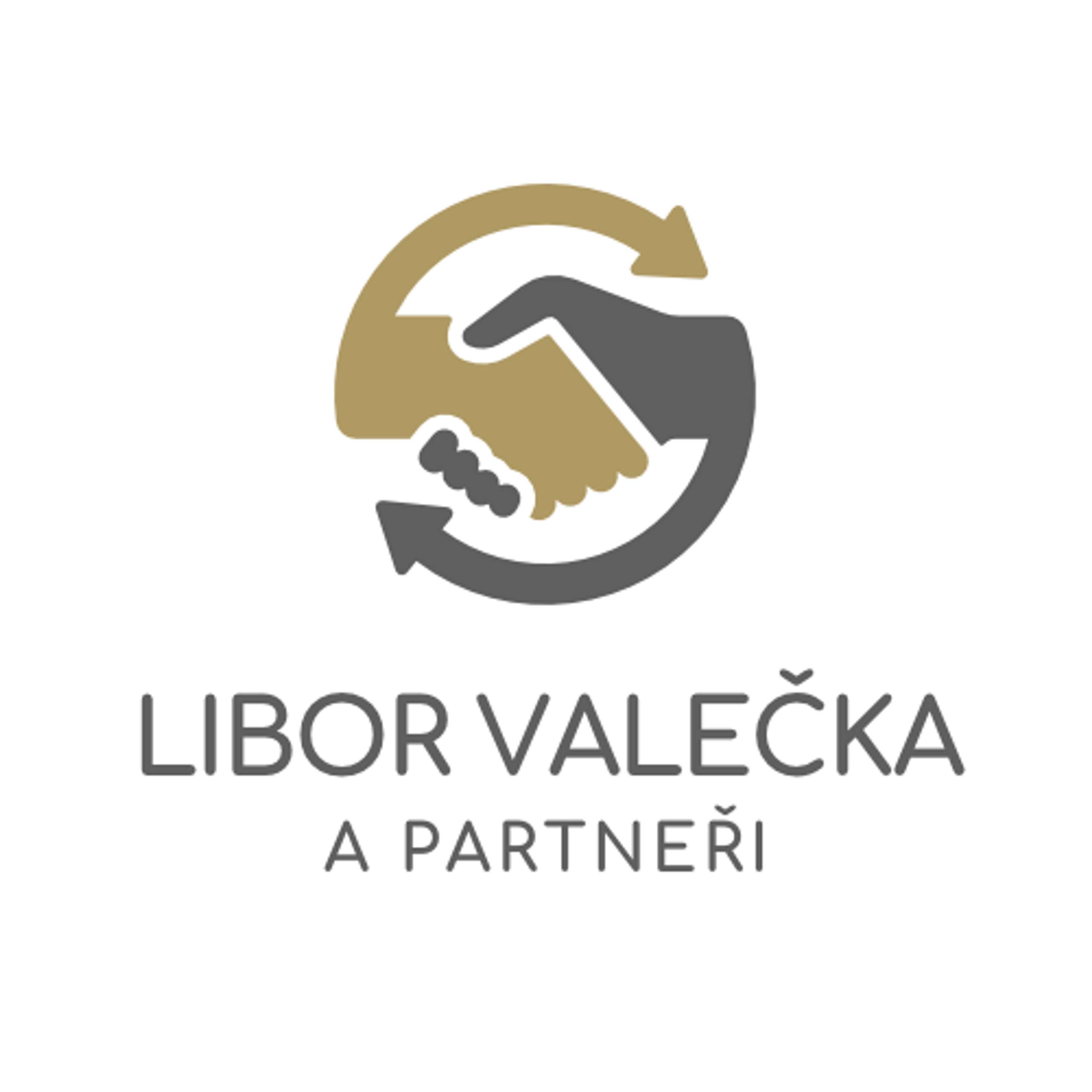 Logo and Web Design - Libor Valečka a partneři by Jana Kasova