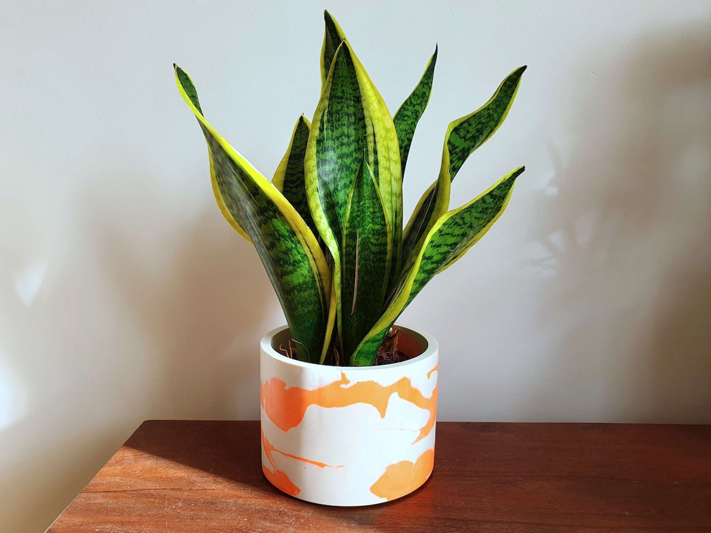 Jesmonite pots and objects by Joanna Waclawski