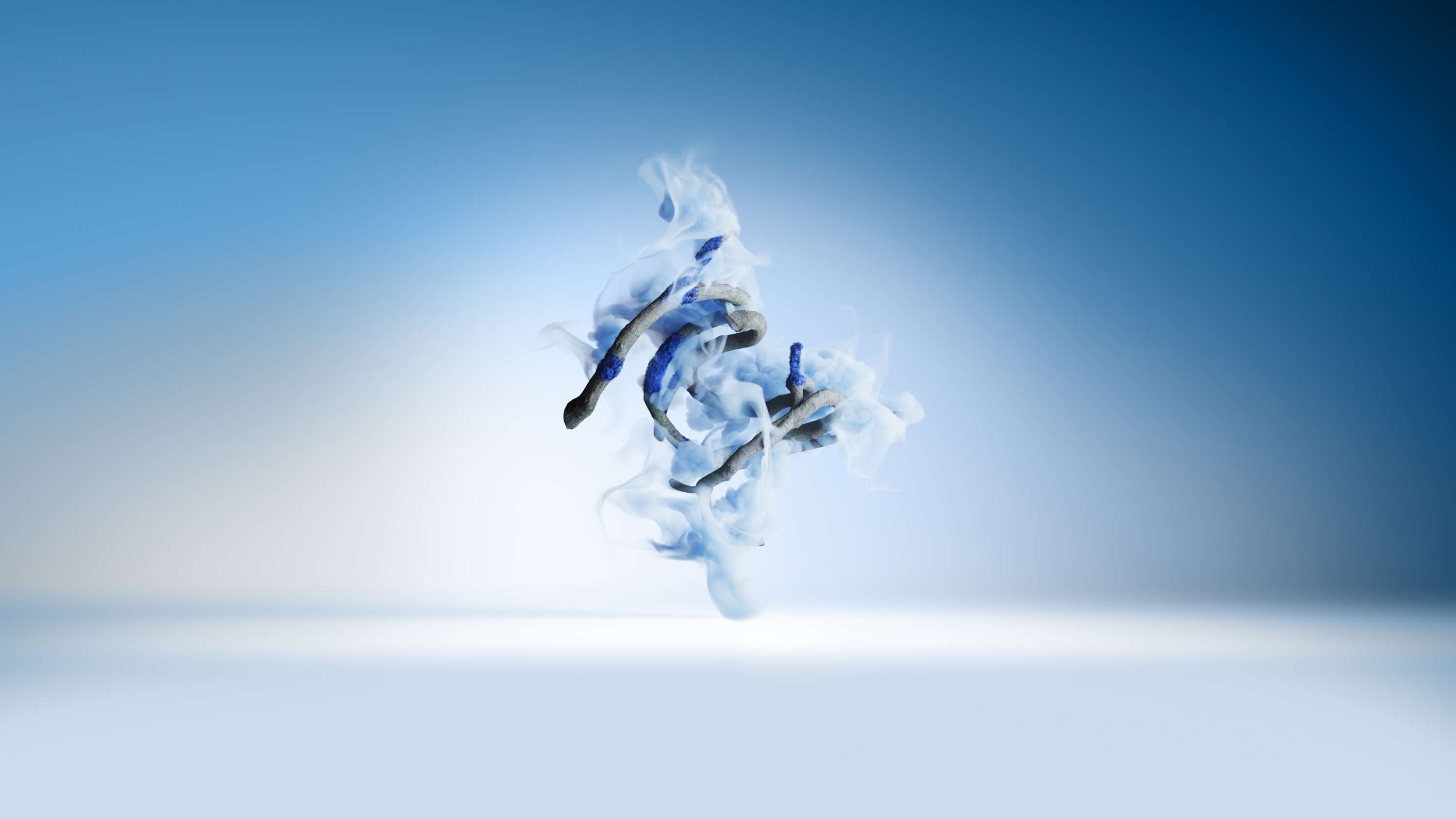 Art from nature by AKQA