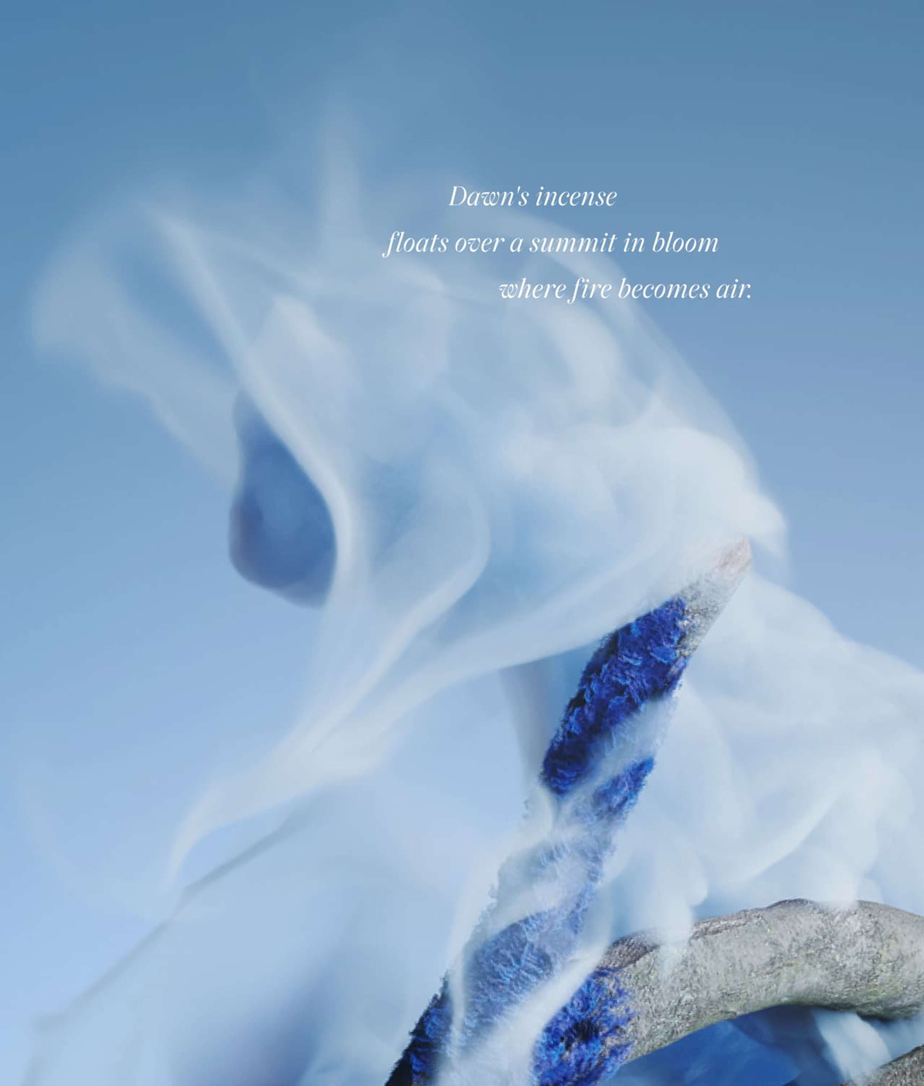 Art from nature by AKQA