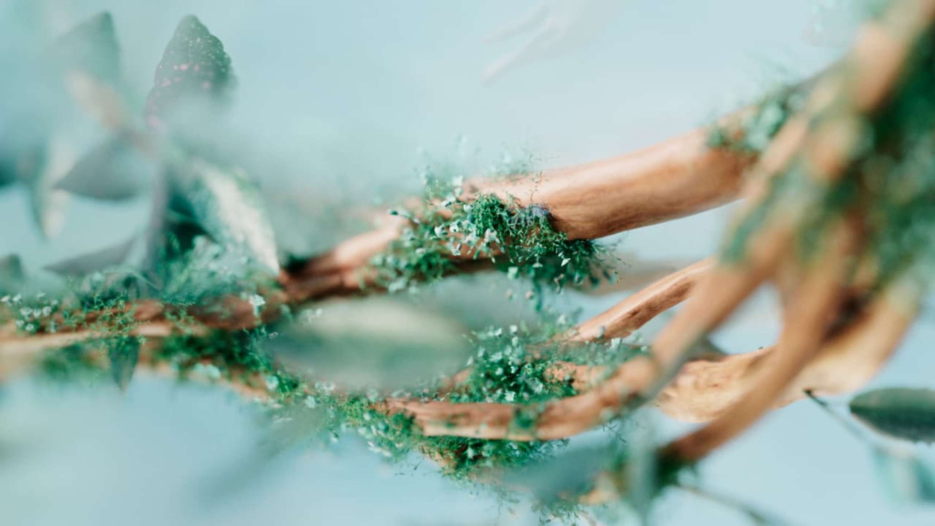 Art from nature by AKQA