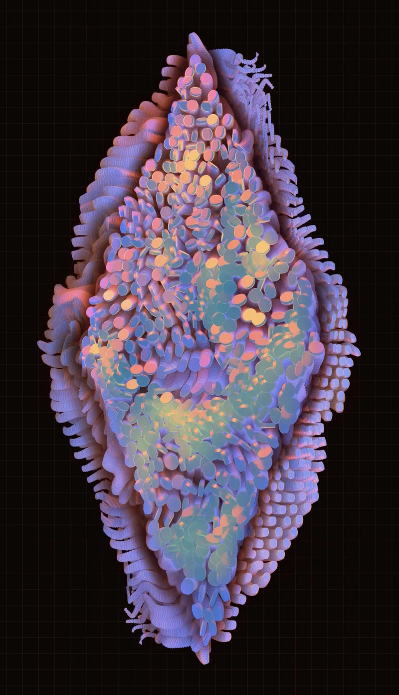 A/V02 by Nico Antwerp