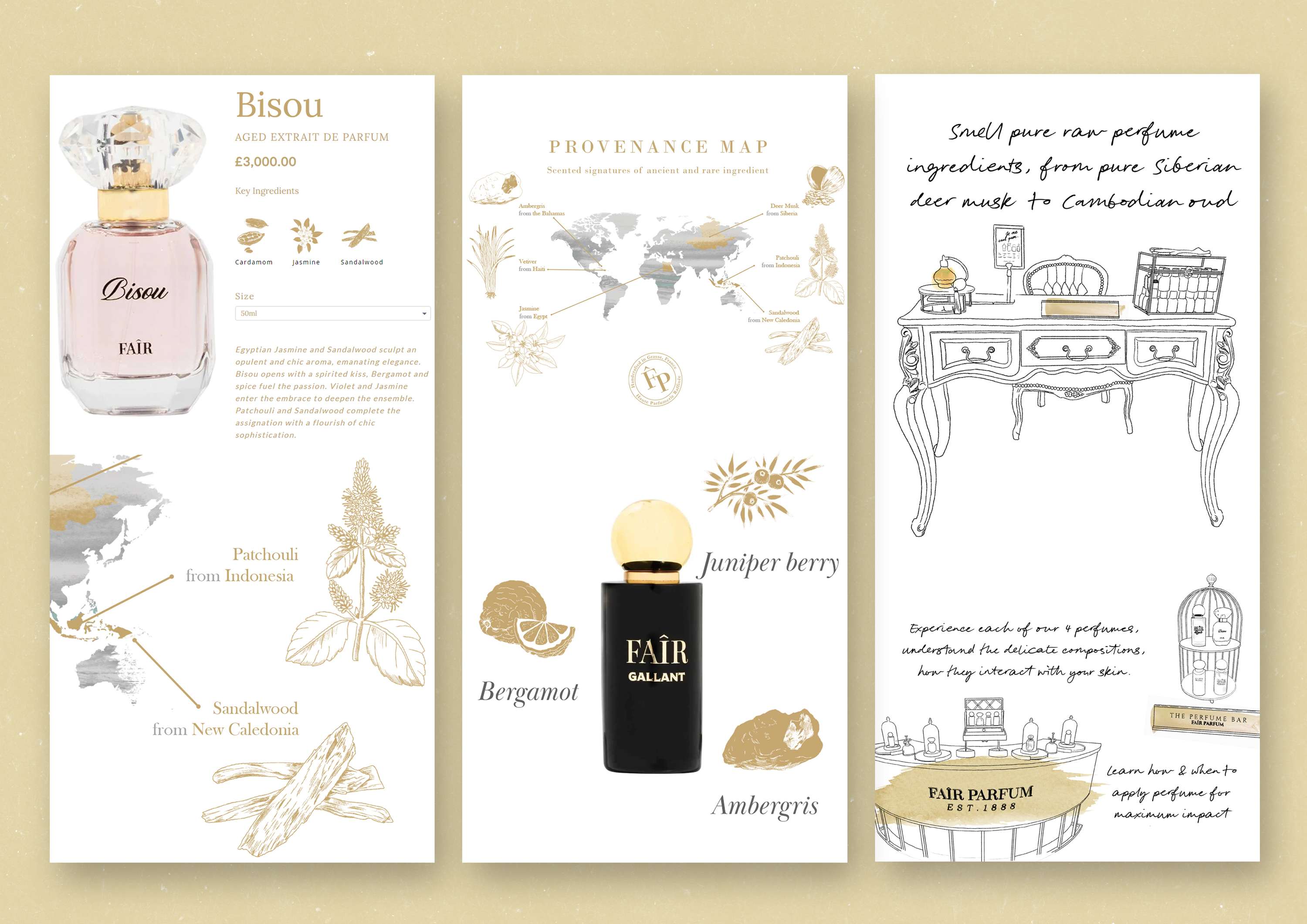 Newsletter Design by Marilia Quemard