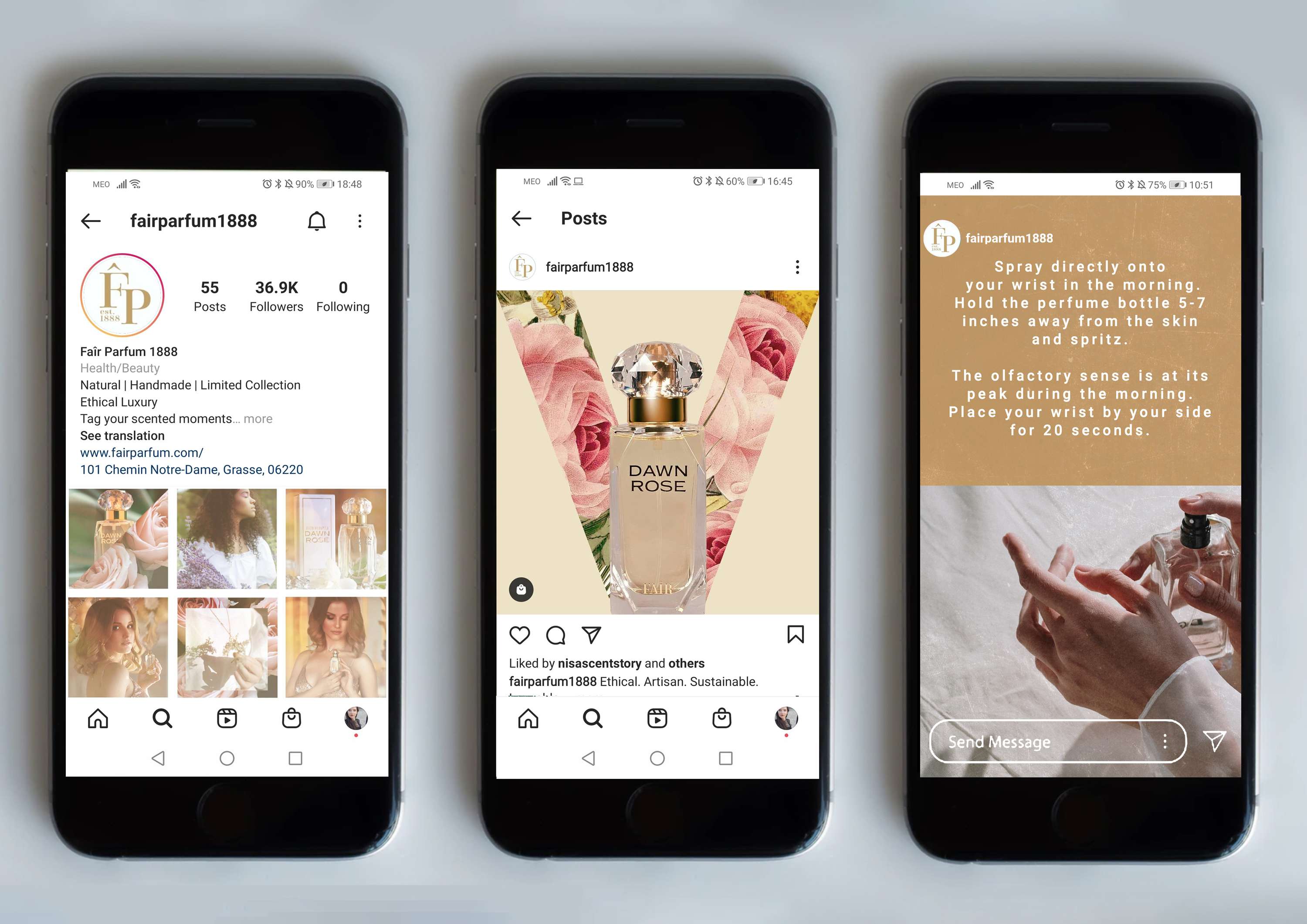 Newsletter Design by Marilia Quemard