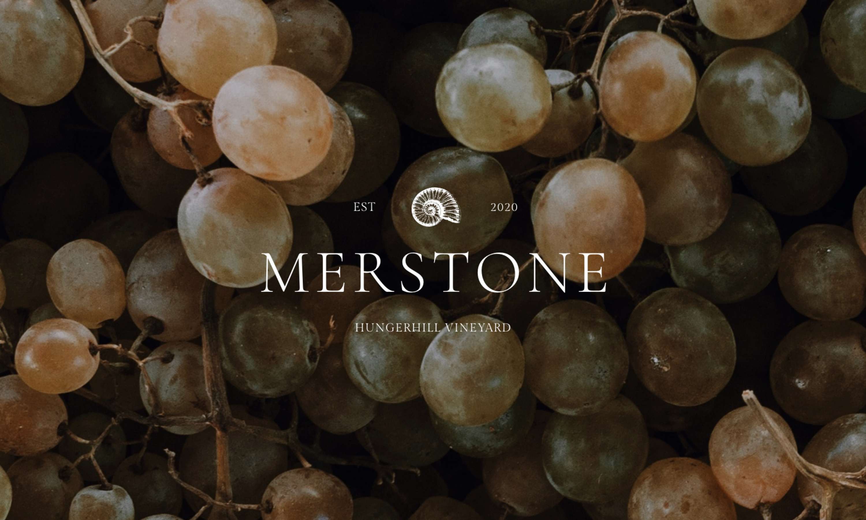 Merstone — Branding by Fiona Barnes