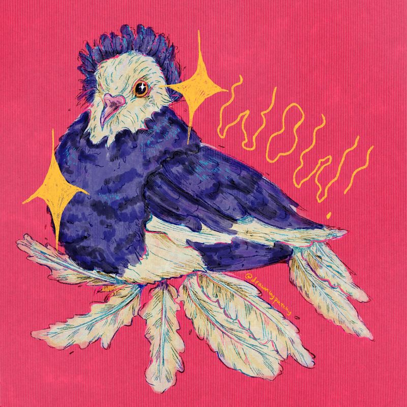 Show pigeon! by Georgia Barrell