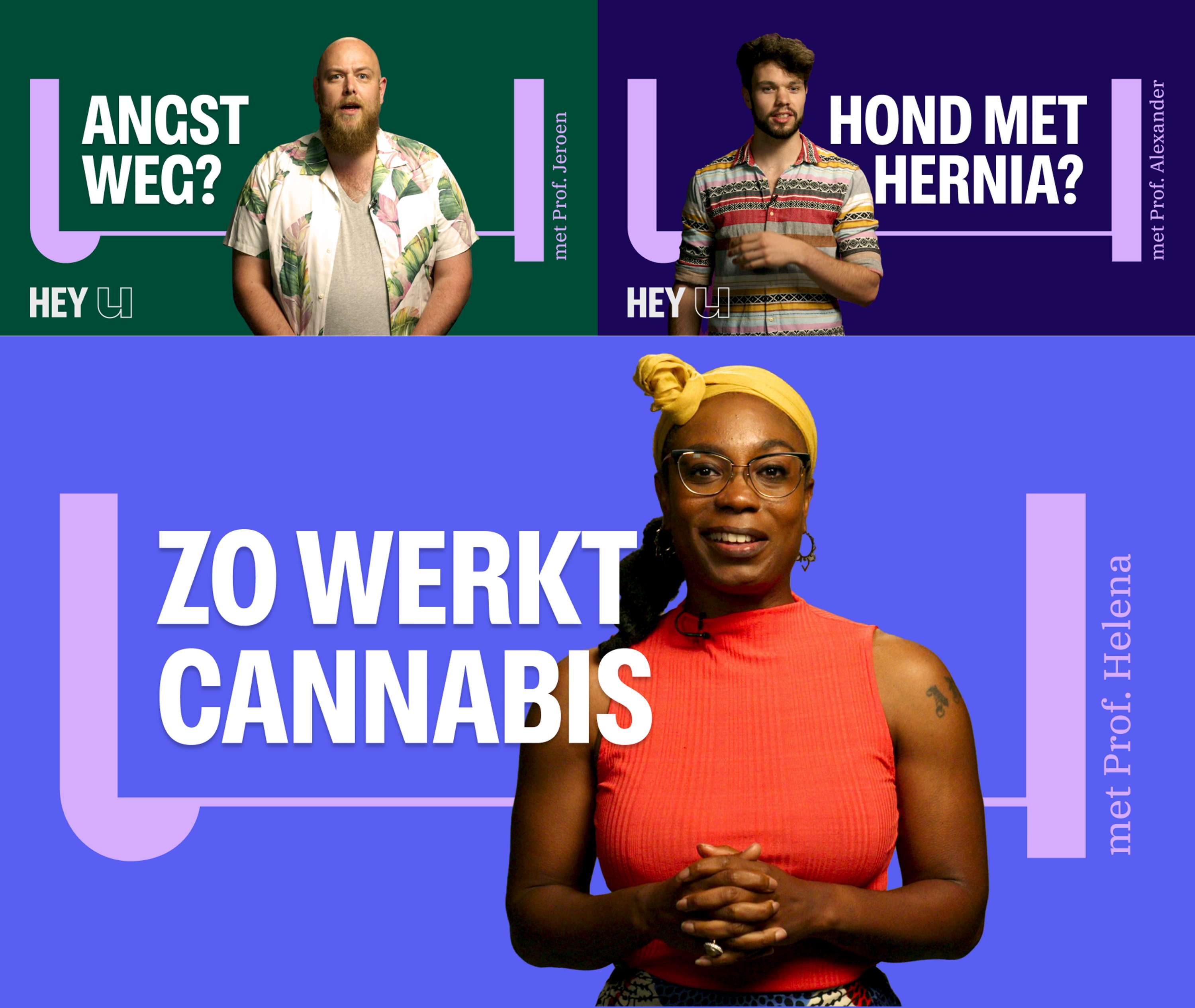 Universiteit van Nederland Visual Identity Design by Ronny Wieckardt