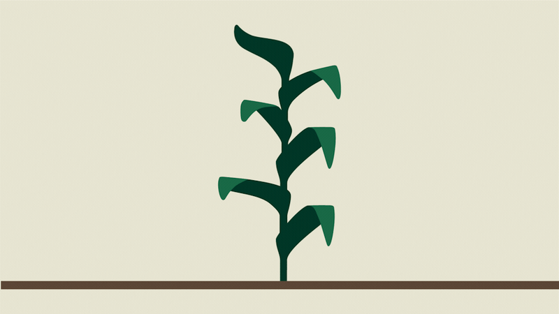 #LetsTalkBreeding by Rhodium Creative