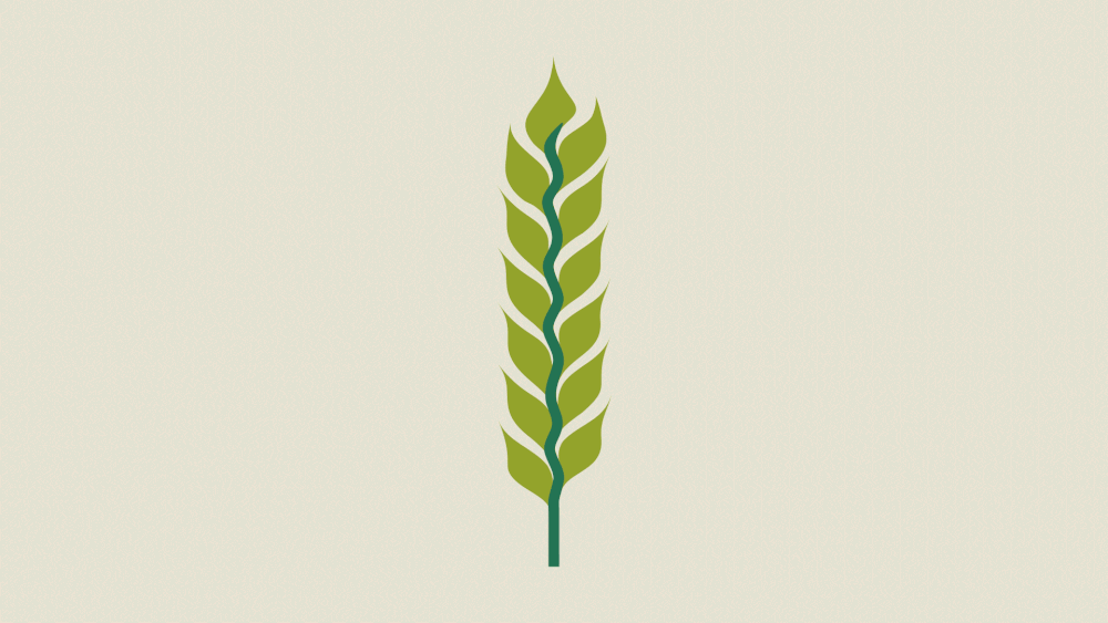 #LetsTalkBreeding by Rhodium Creative