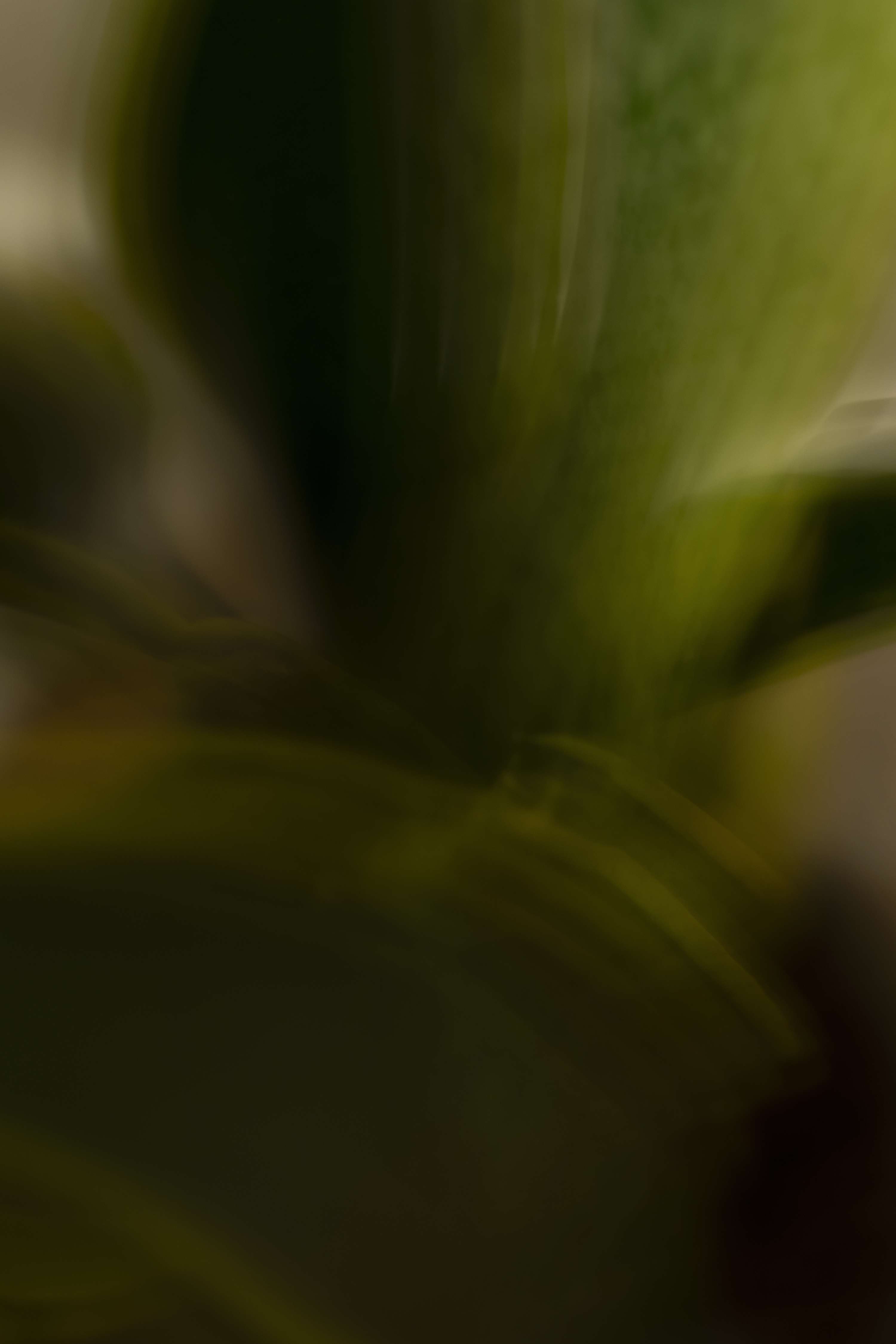 Time and Movement studies by Natasha Zinovyeva