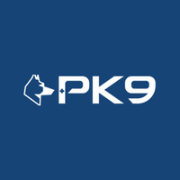 Positive K9 Training logo